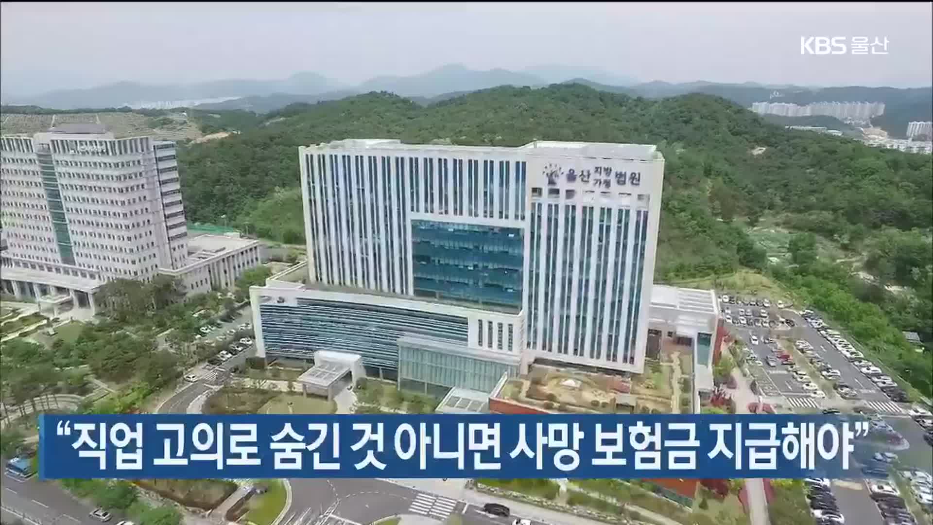 “직업 고의로 숨긴 것 아니면 사망 보험금 지급해야”