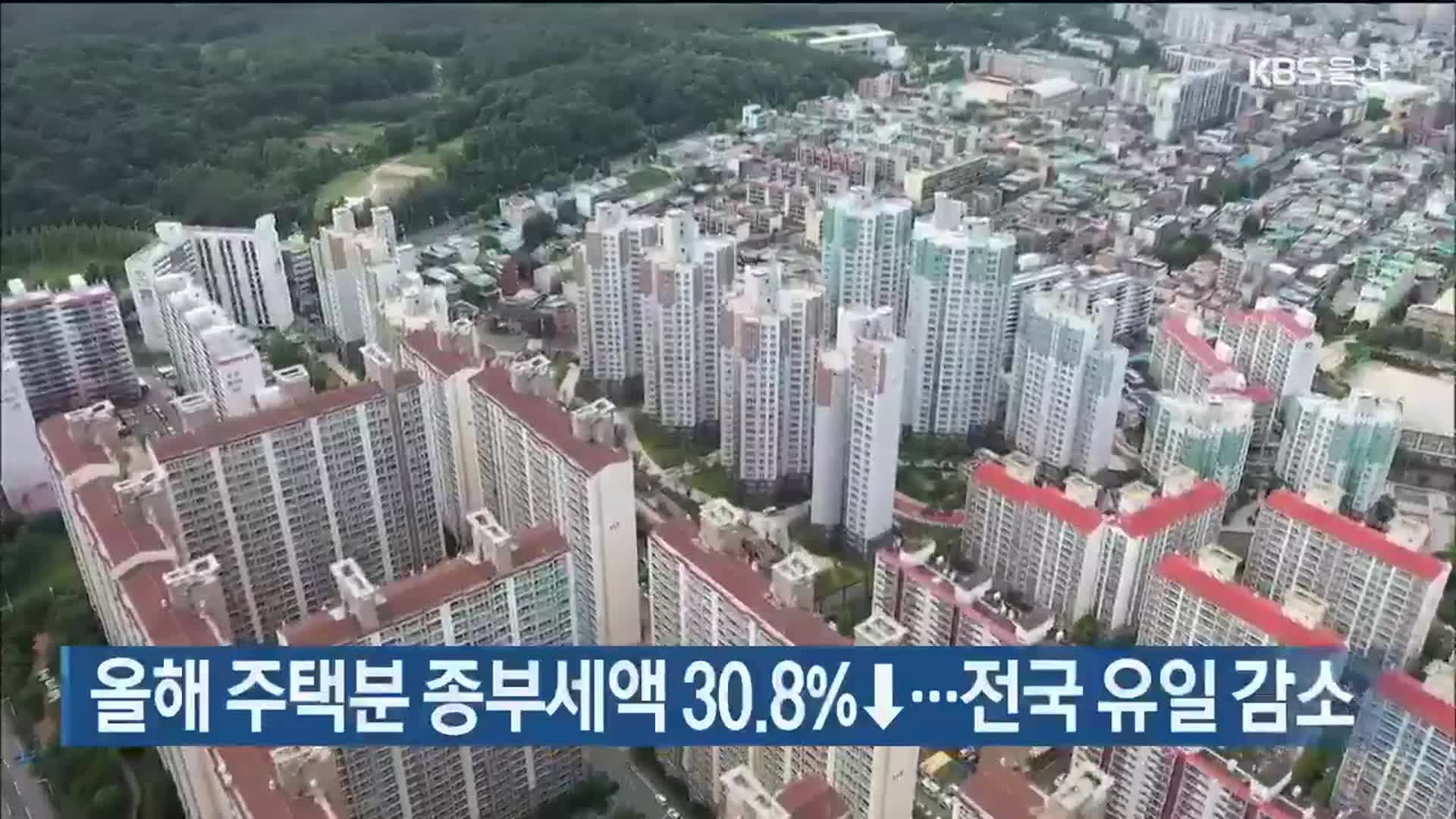 올해 주택분 종부세액 30.8%↓…전국 유일 감소