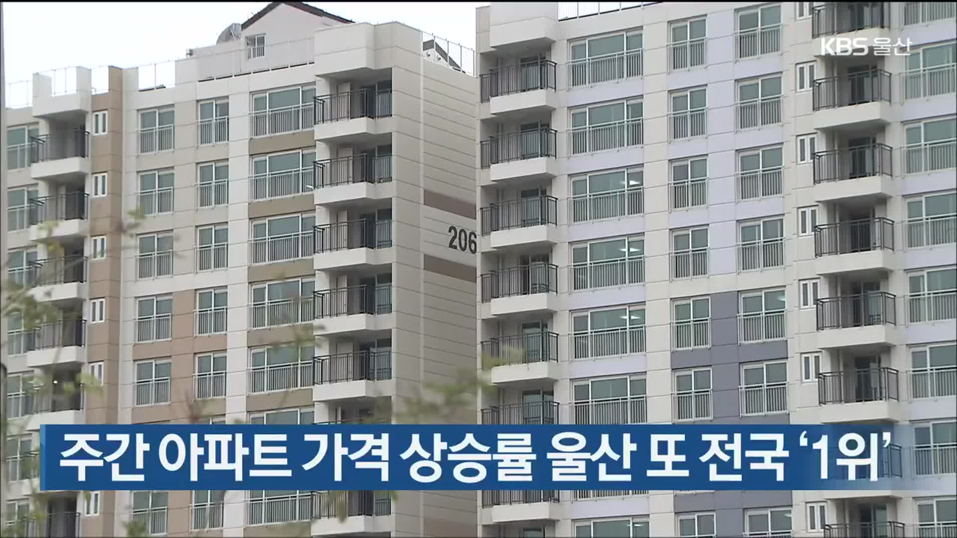 주간 아파트 가격 상승률 울산 또 전국 ‘1위’