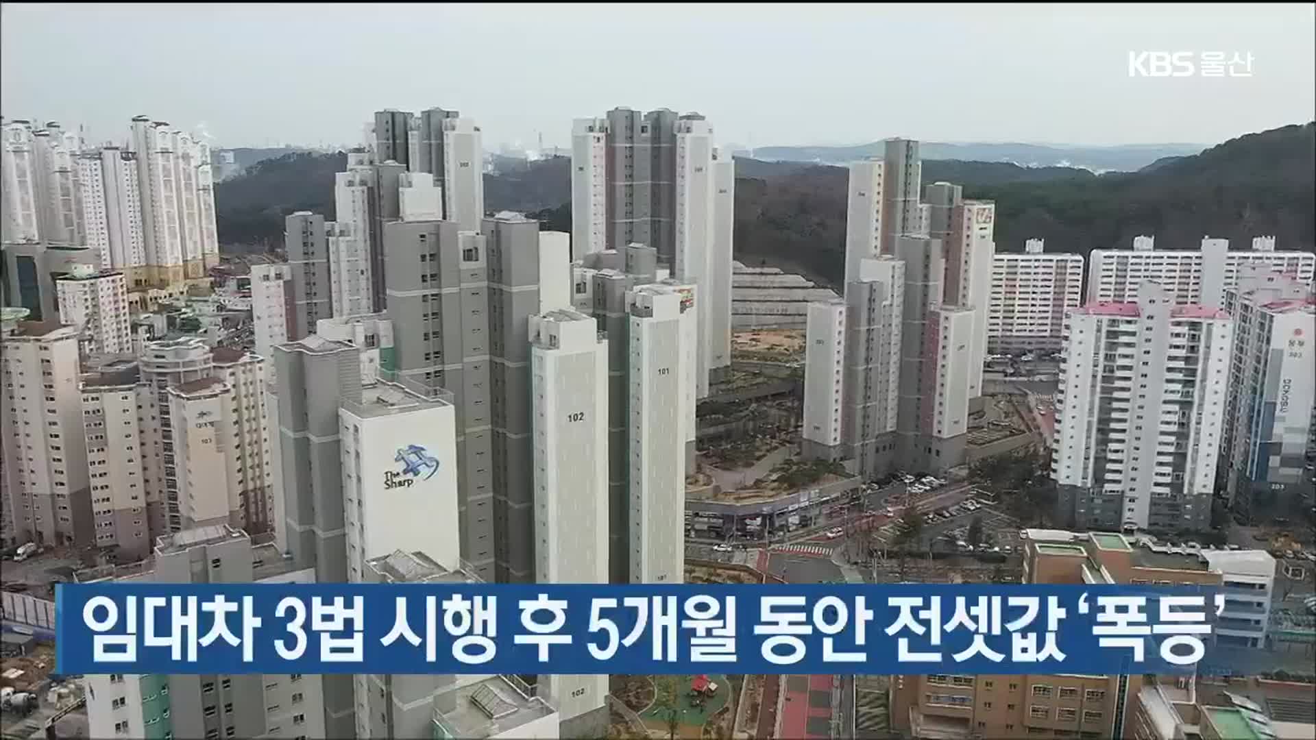 임대차 3법 시행 후 5개월 동안 전셋값 ‘폭등’