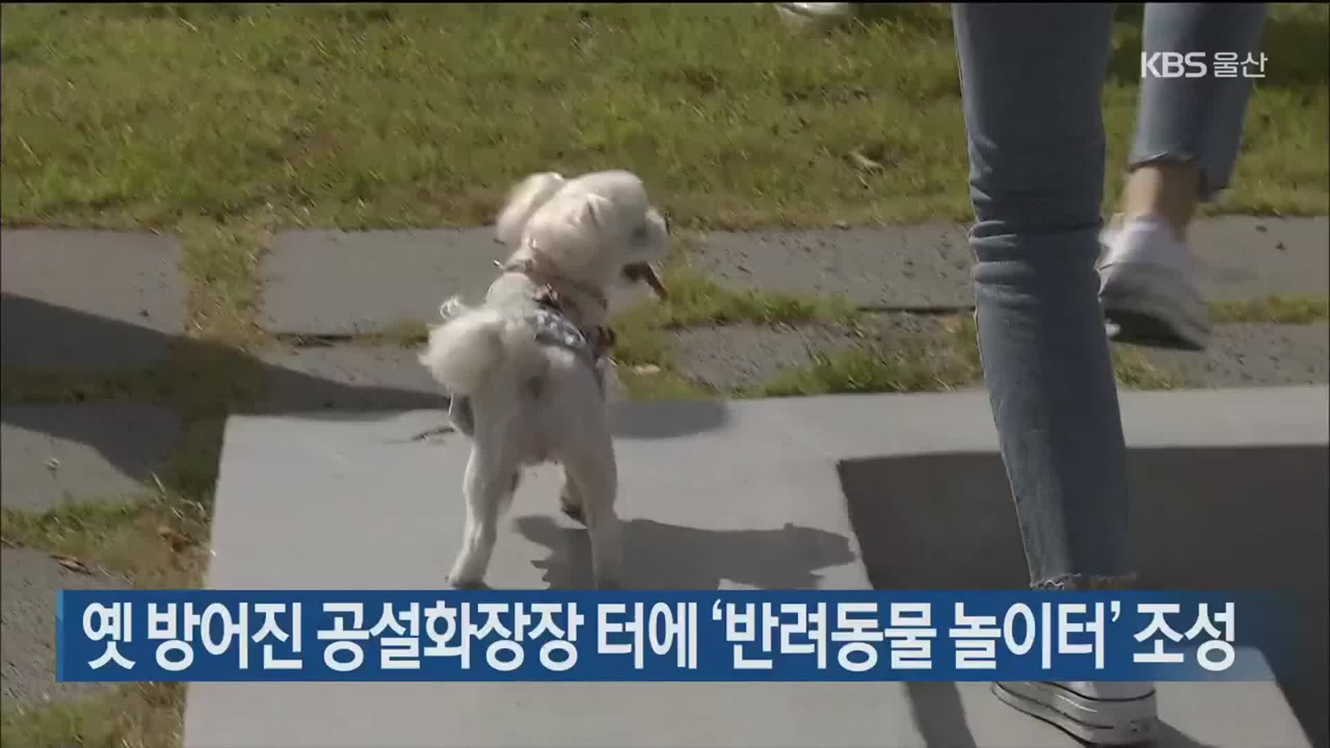 옛 방어진 공설화장장 터에 ‘반려동물 놀이터’ 조성