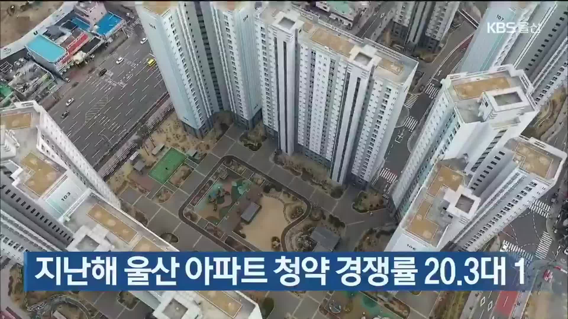 지난해 울산 아파트 청약 경쟁률 20.3대 1