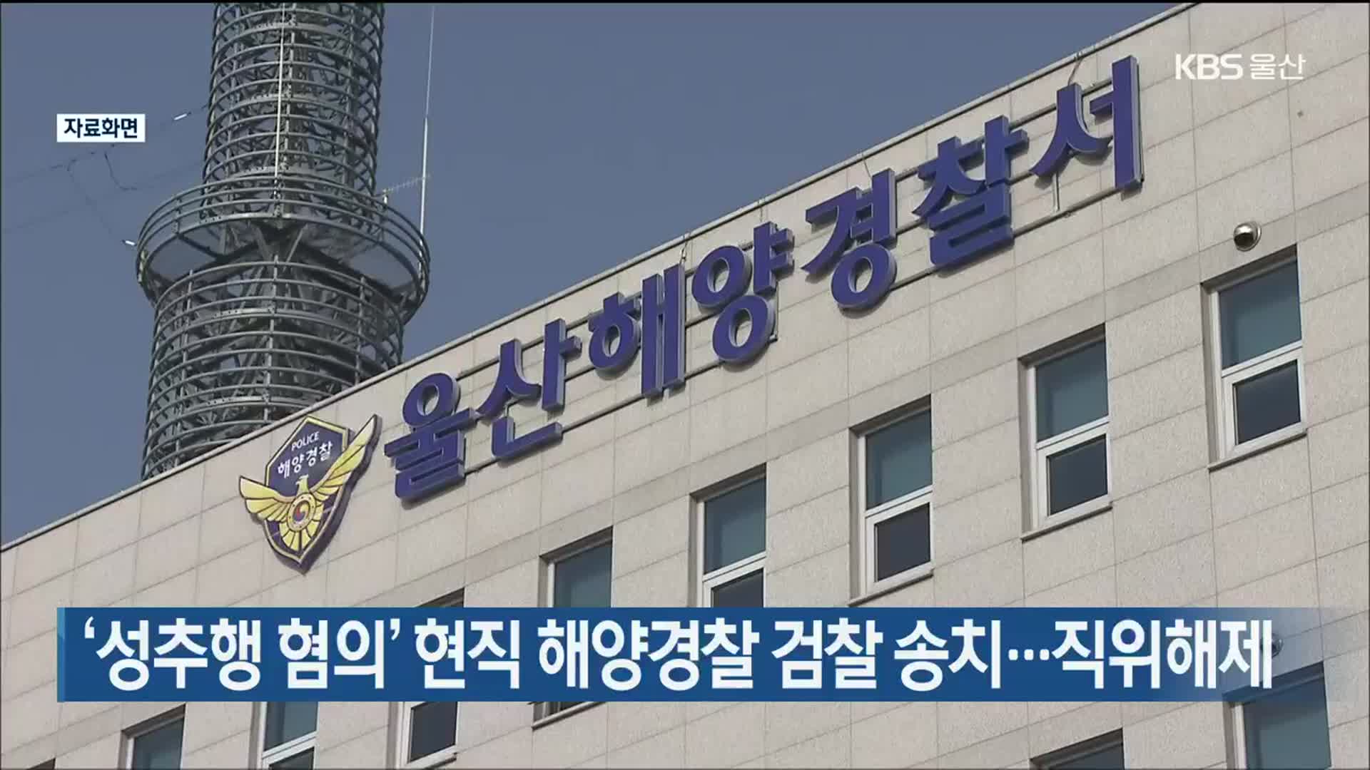 ‘성추행 혐의’ 현직 해양경찰 검찰 송치…직위해제