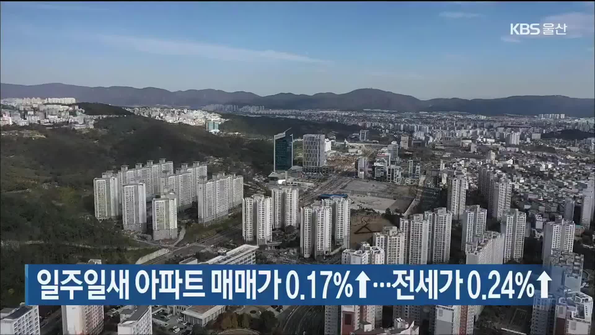 일주일새 울산 아파트 매매가 0.17%↑…전세가 0.24%↑