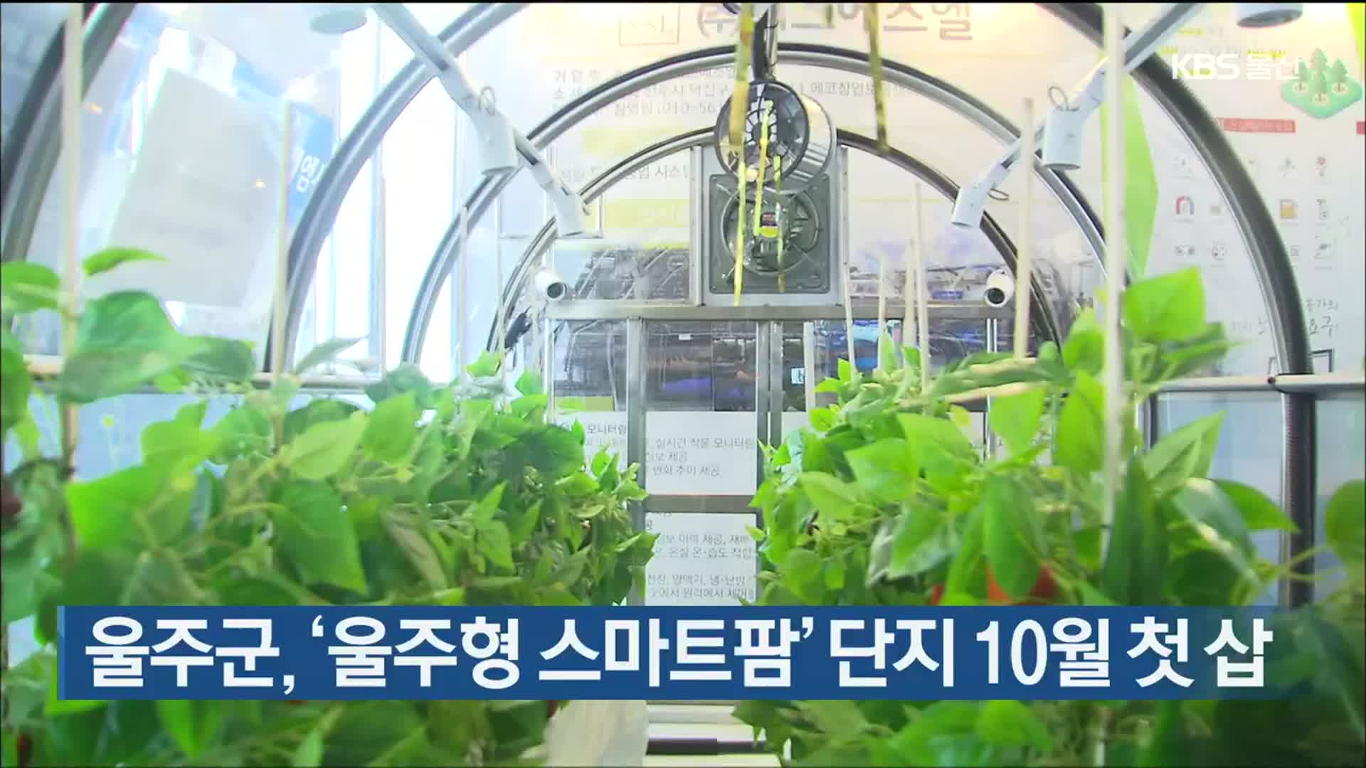 울주군, ‘울주형 스마트팜’ 단지 10월 첫 삽