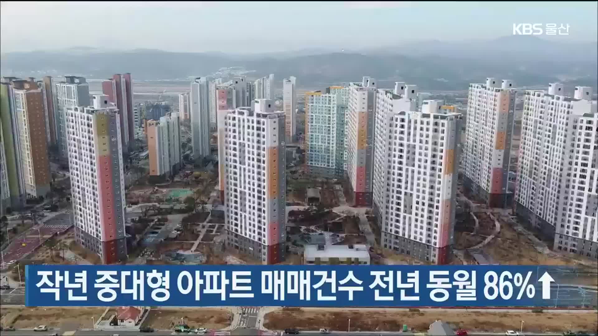 울산 작년 중대형 아파트 매매건수 전년 동월 86%↑