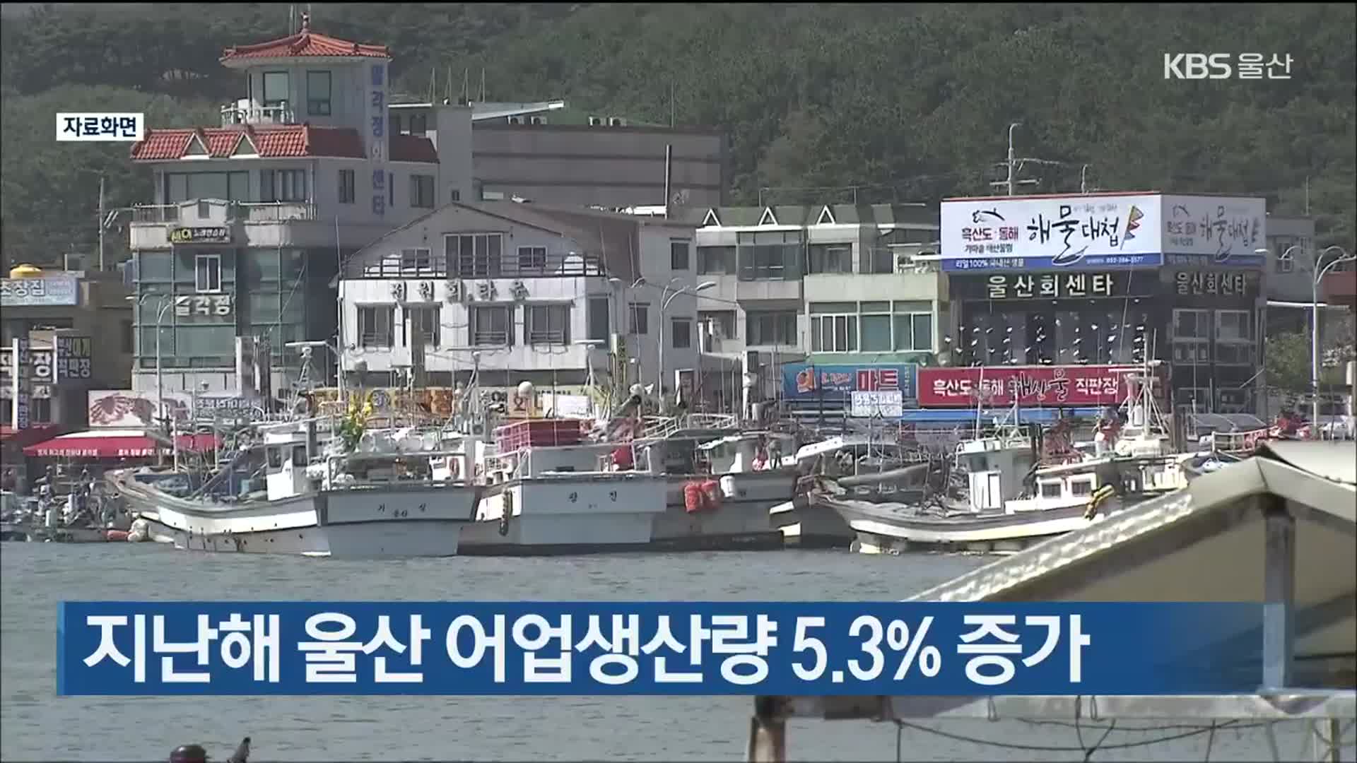 지난해 울산 어업생산량 5.3% 증가
