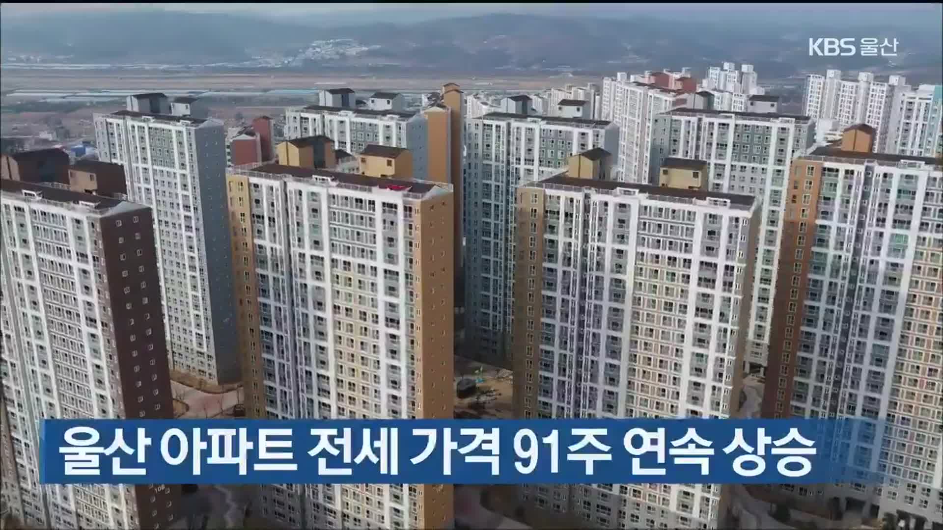 울산 아파트 전세 가격 91주 연속 상승