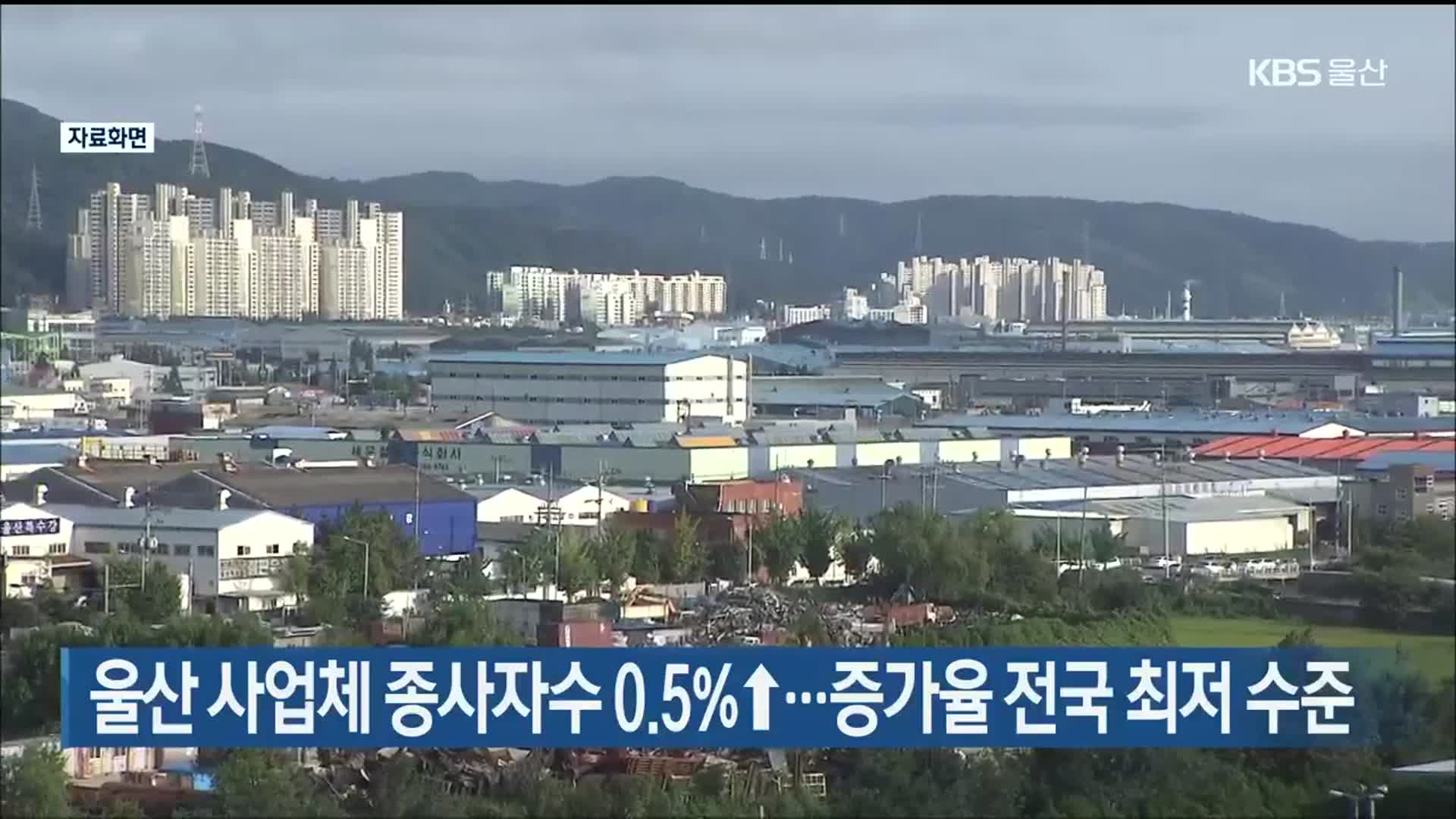 울산 사업체 종사자수 0.5%↑…증가율 전국 최저 수준