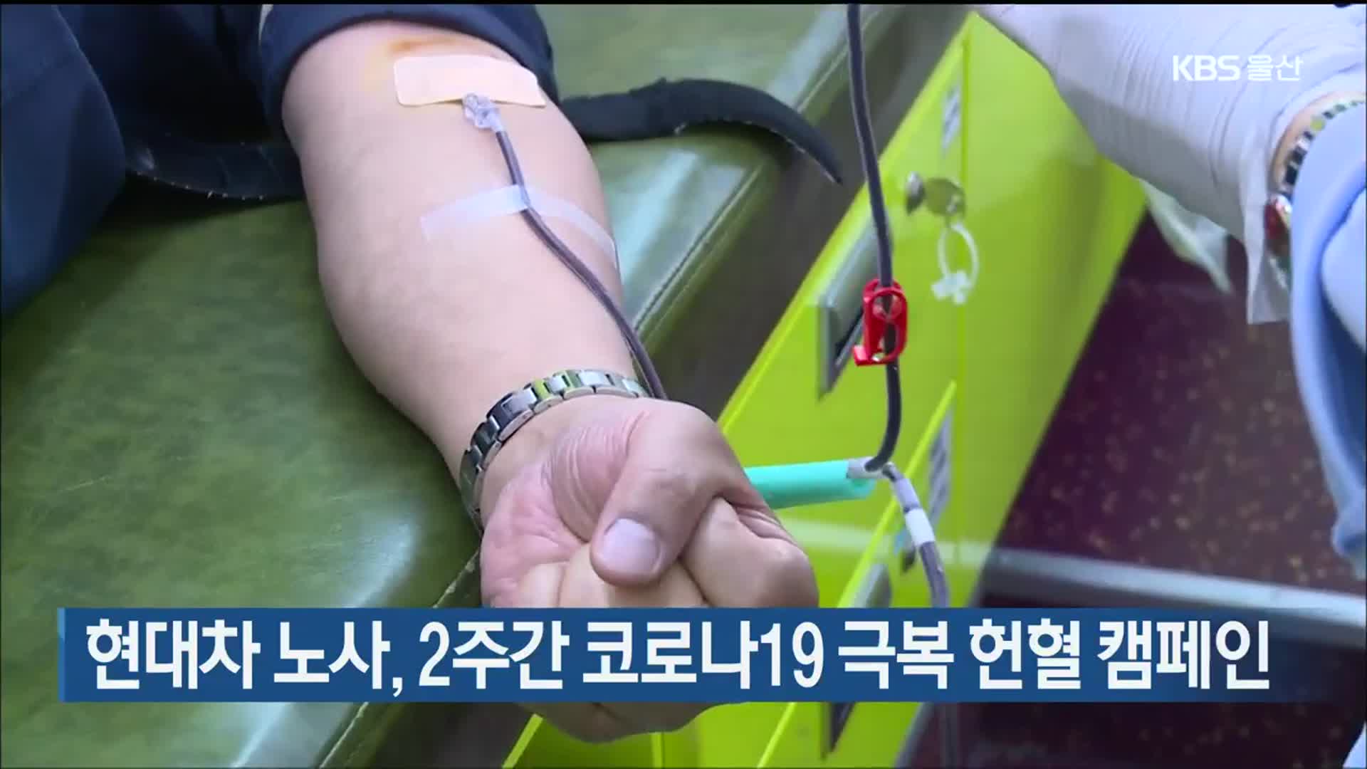 현대차 노사, 2주간 코로나19 극복 헌혈 캠페인