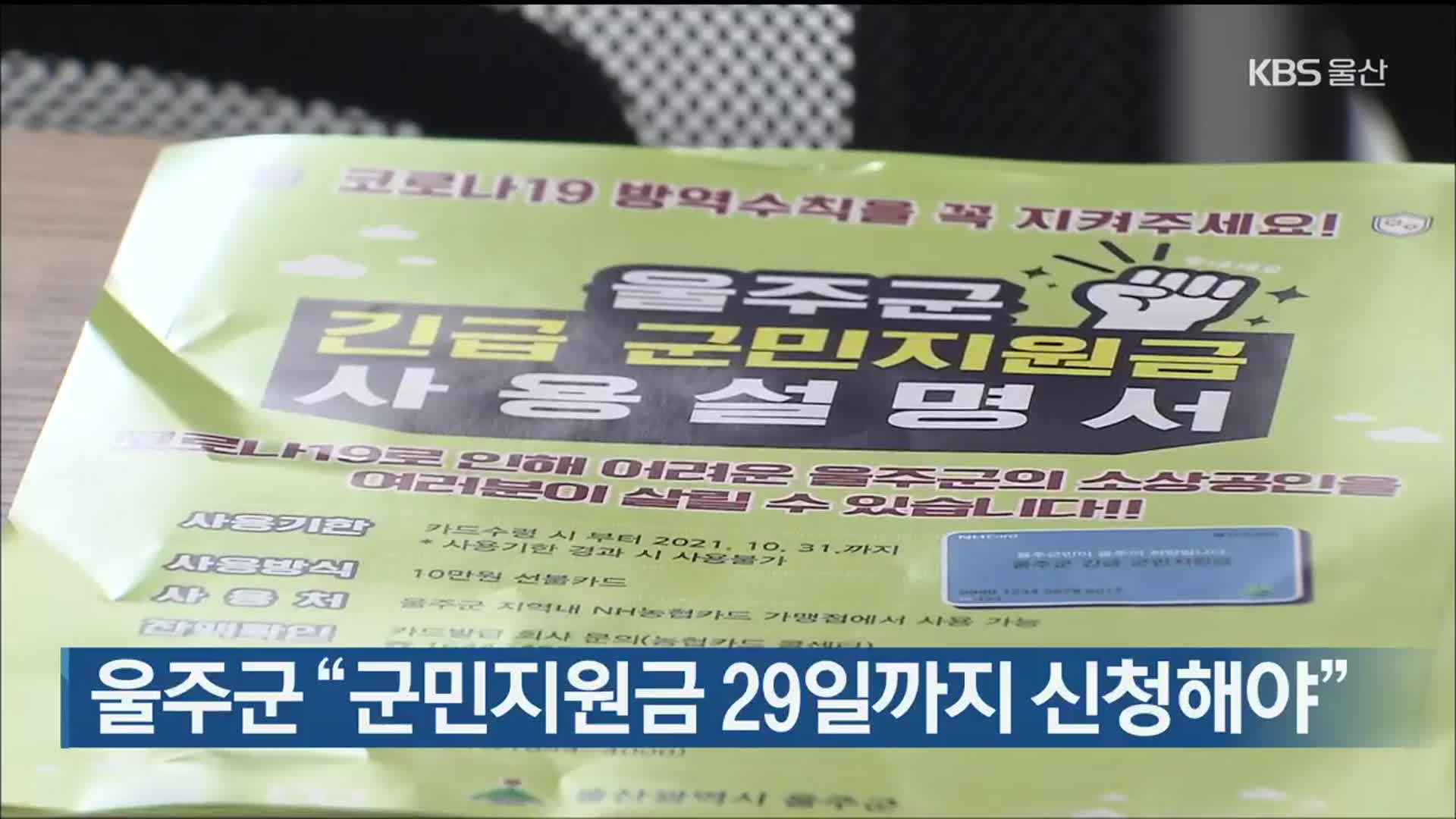 울주군 “군민지원금 29일까지 신청해야”