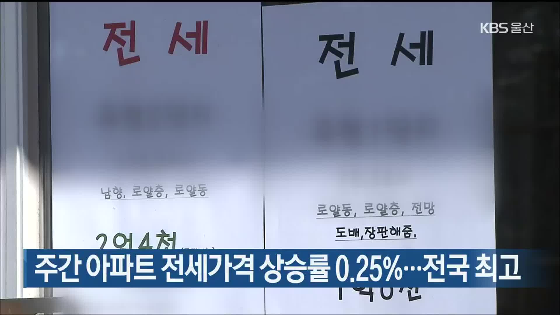 울산 주간 아파트 전세가격 상승률 0.25%…전국 최고