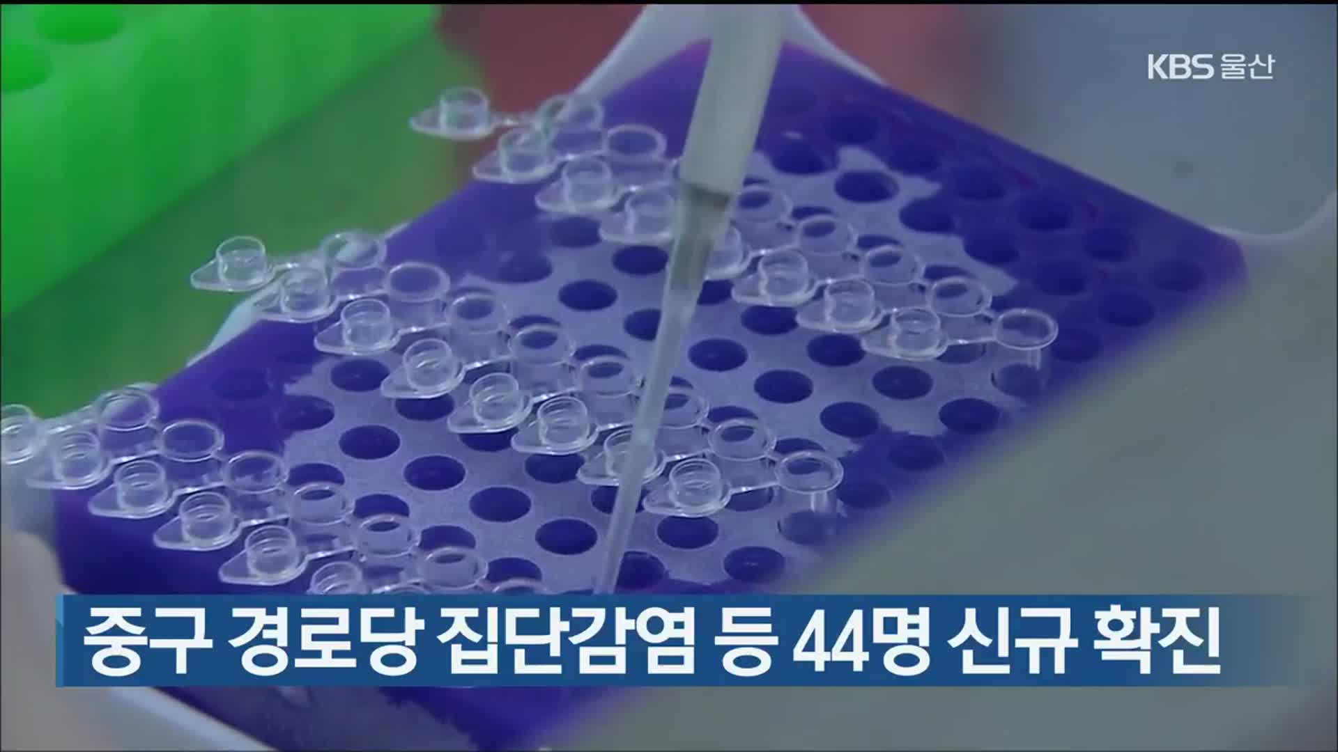 울산 중구 경로당 집단감염 등 44명 신규 확진