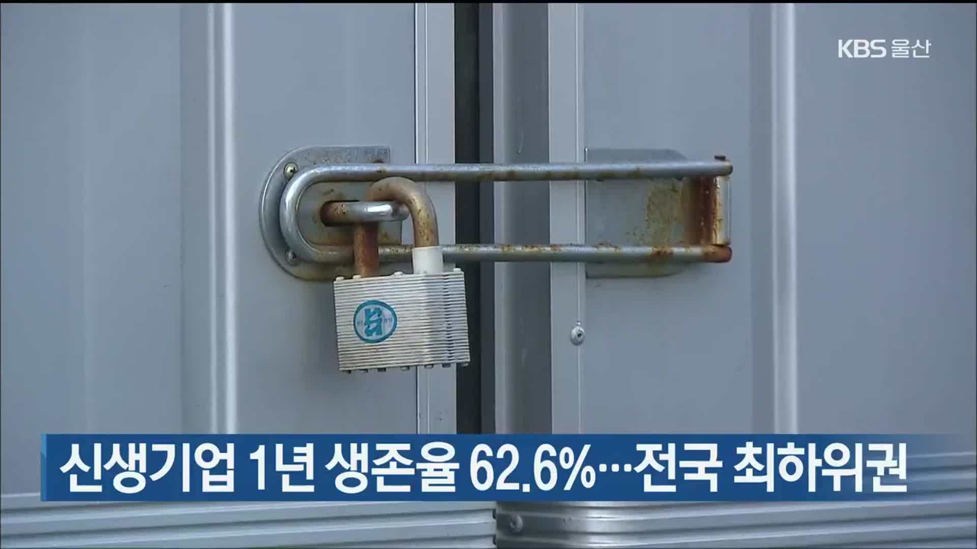 울산 신생기업 1년 생존율 62.6%…전국 최하위권