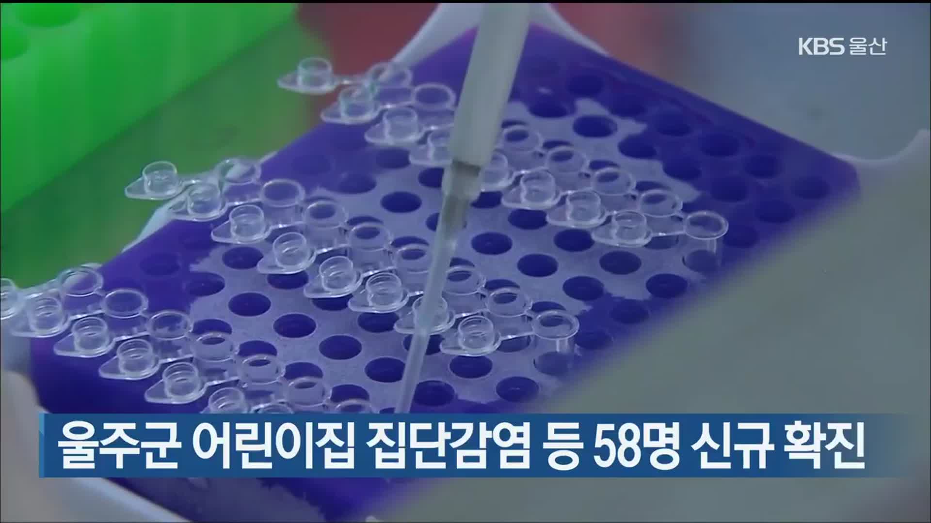 울산, 울주군 어린이집 집단감염 등 58명 신규 확진