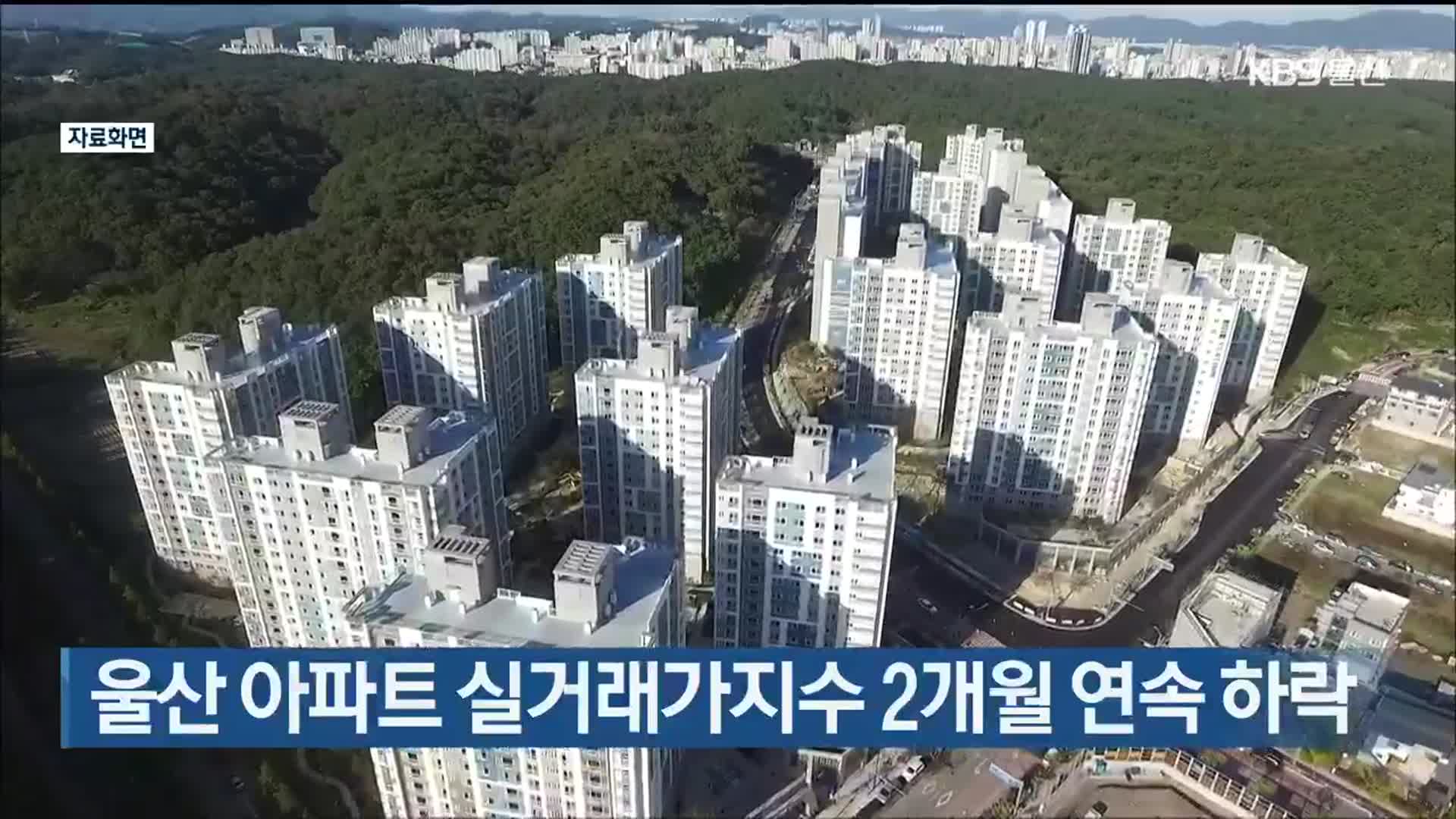 울산 아파트 실거래가지수 2개월 연속 하락