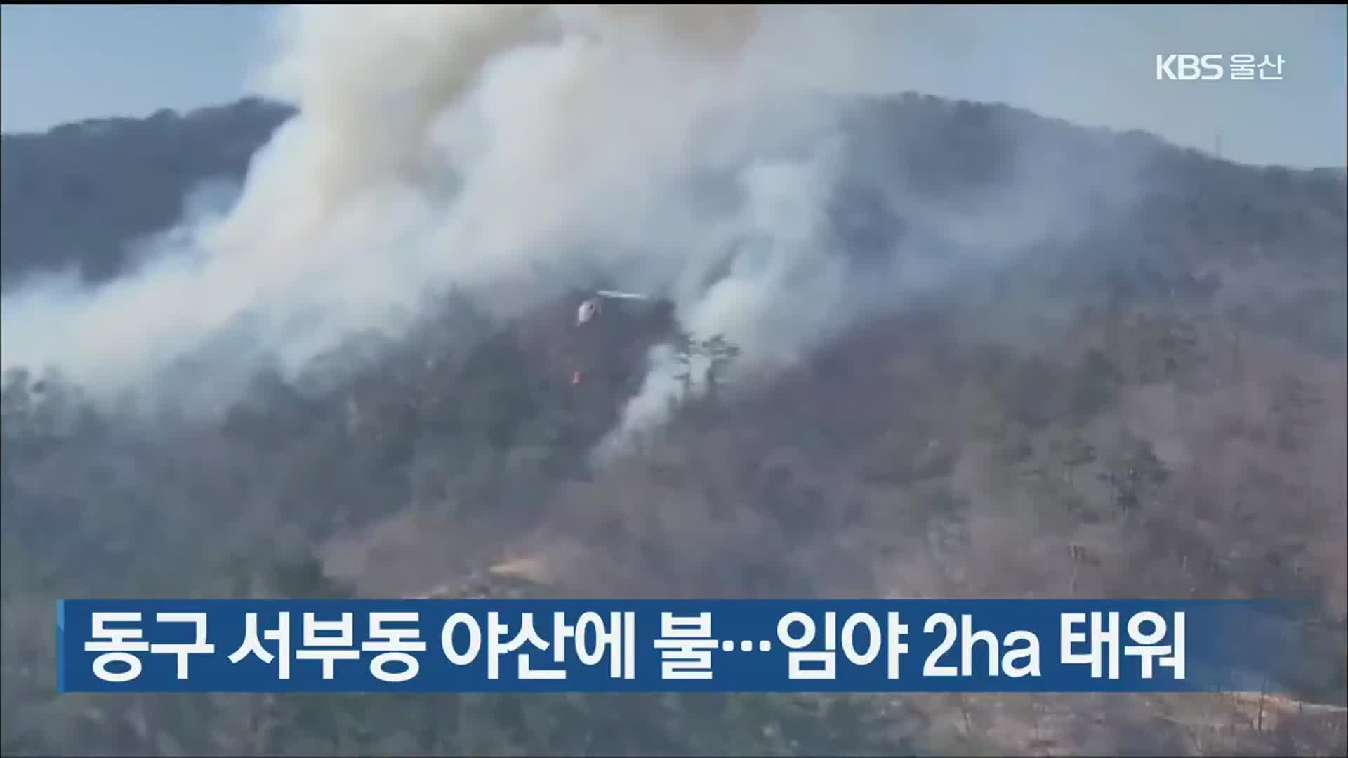 울산 동구 서부동 야산에 불…임야 2ha 태워