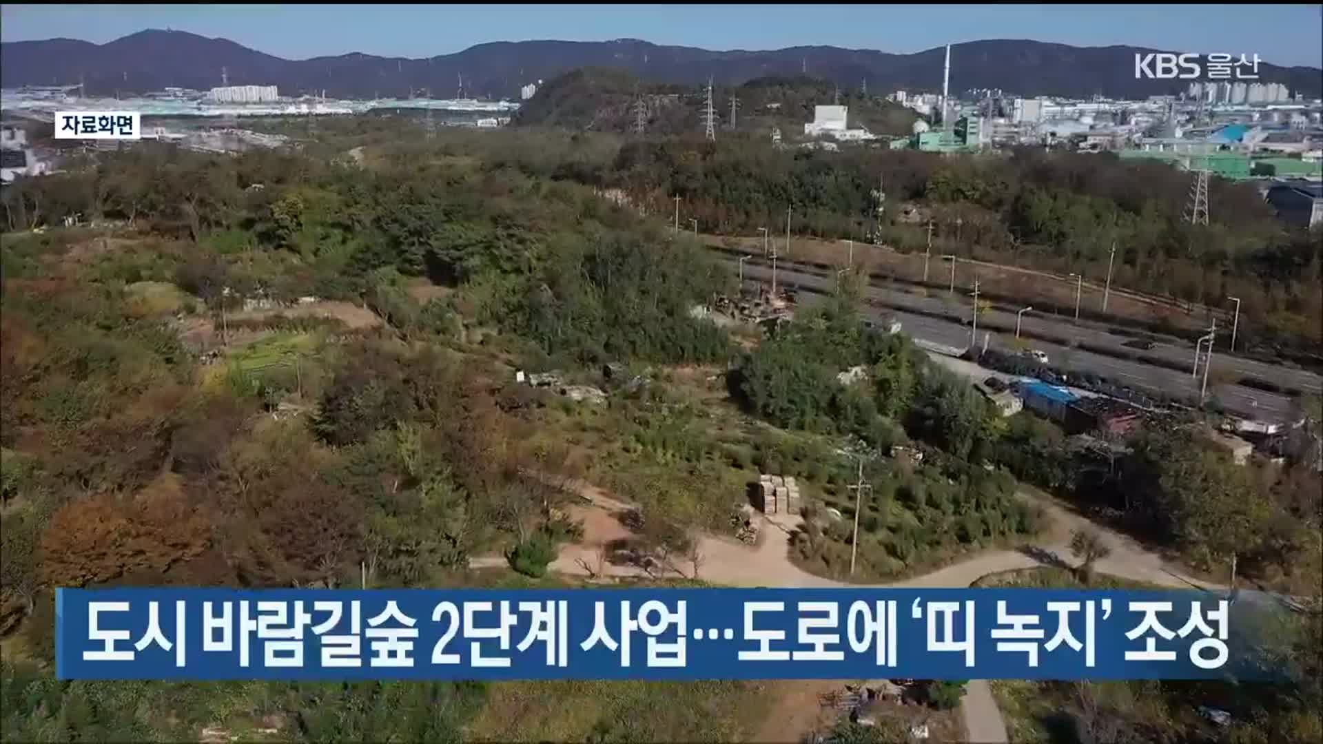 도시 바람길숲 2단계 사업…도로에 ‘띠 녹지’ 조성