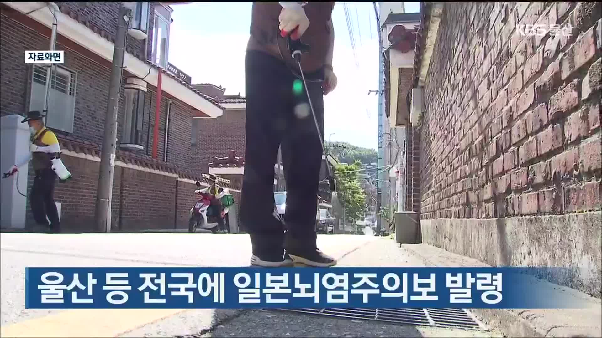 울산 등 전국에 일본뇌염주의보 발령