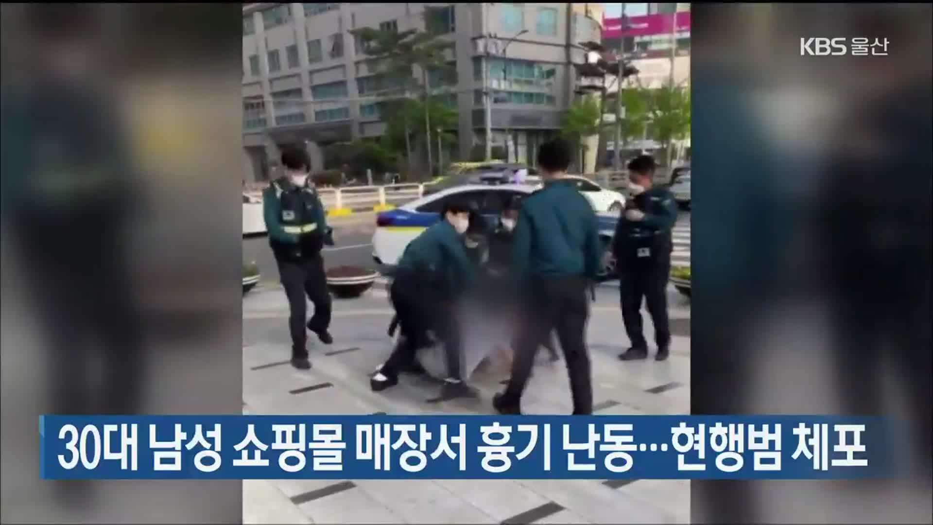 30대 남성 쇼핑몰 매장서 흉기 난동…현행범 체포