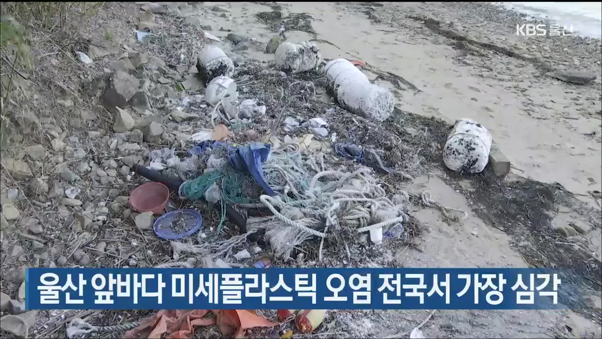 울산 앞바다 미세플라스틱 오염 전국서 가장 심각