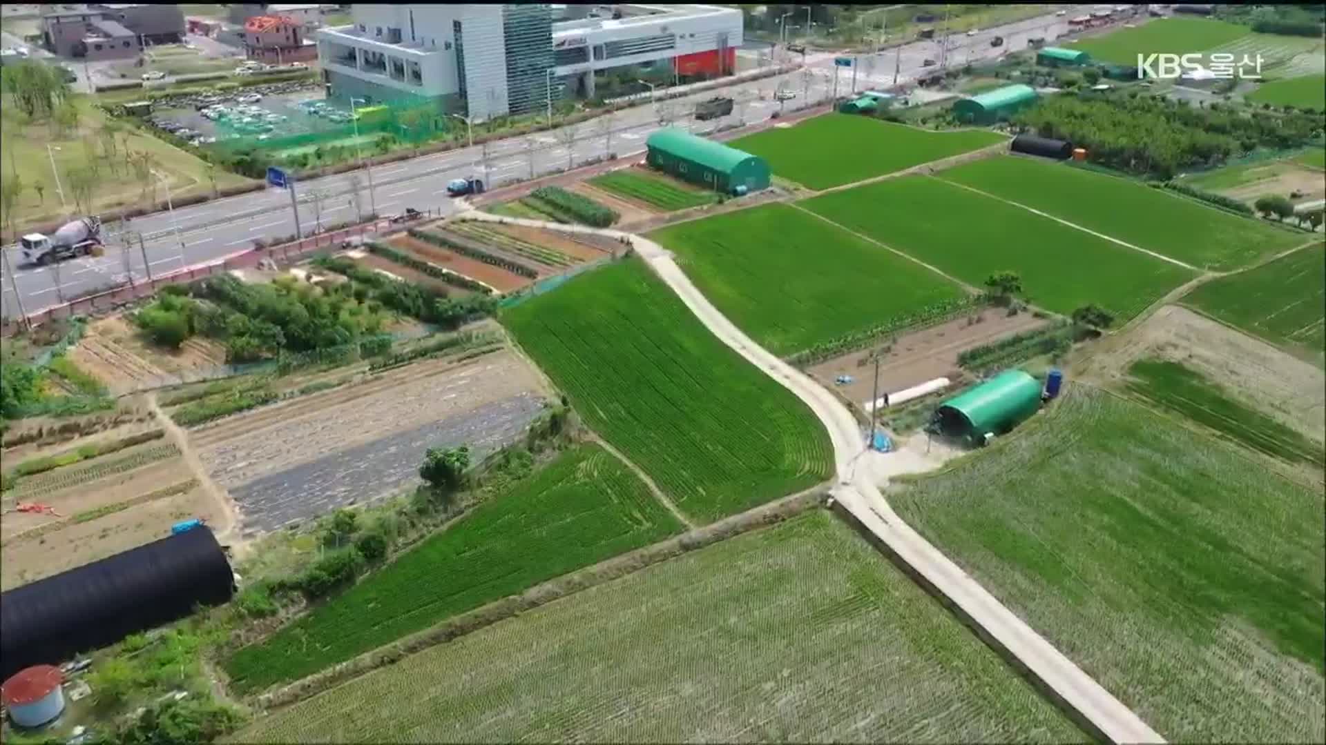 김두겸 ‘1호 공약’ GB 해제 본격 추진