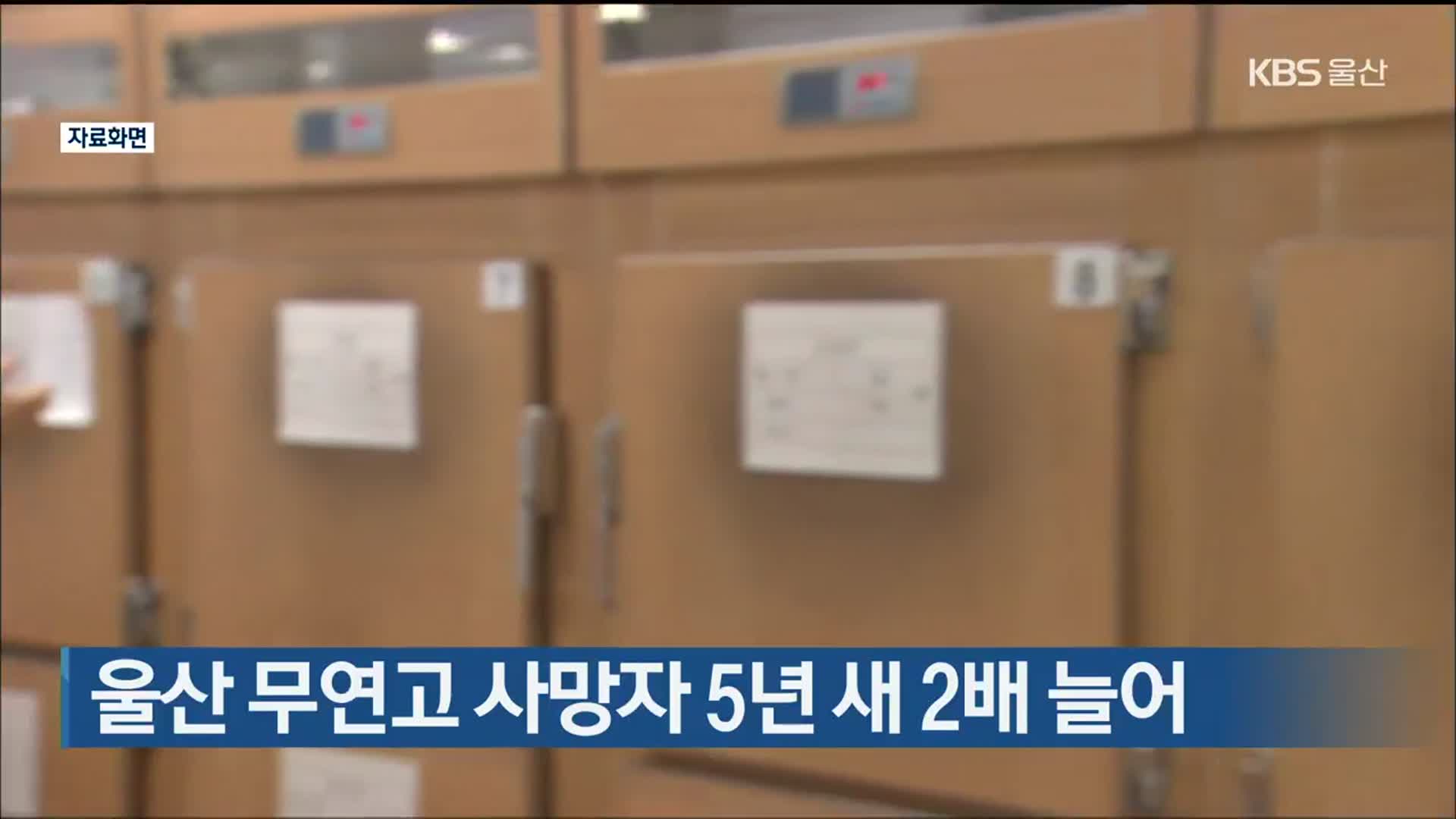 울산 무연고 사망자 5년 새 2배 늘어