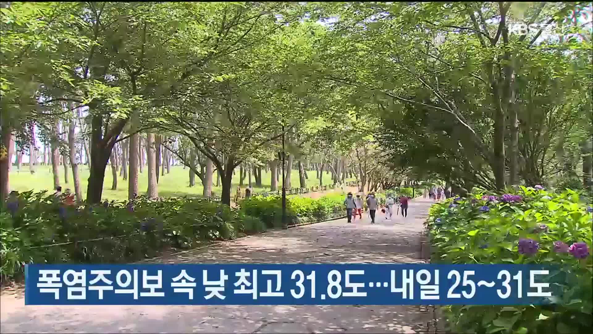 폭염주의보 속 낮 최고 31.8도…내일 25~31도