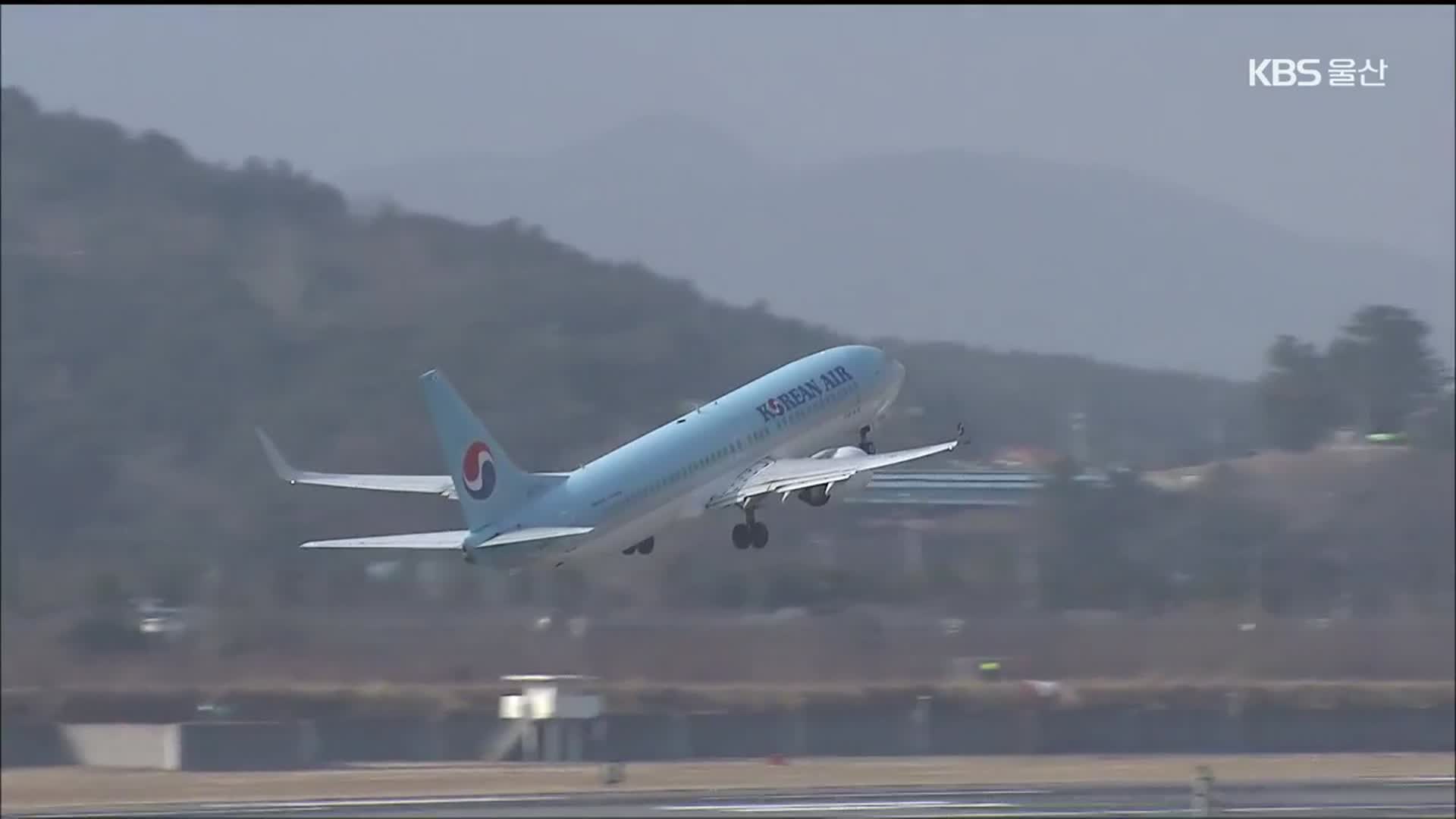 울산공항 확장 대신 신공항?…현실성 있나