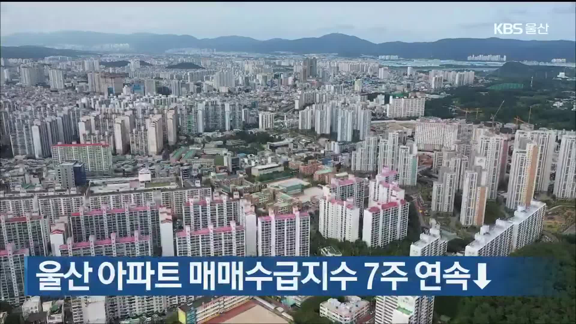 울산 아파트 매매수급지수 7주 연속↓