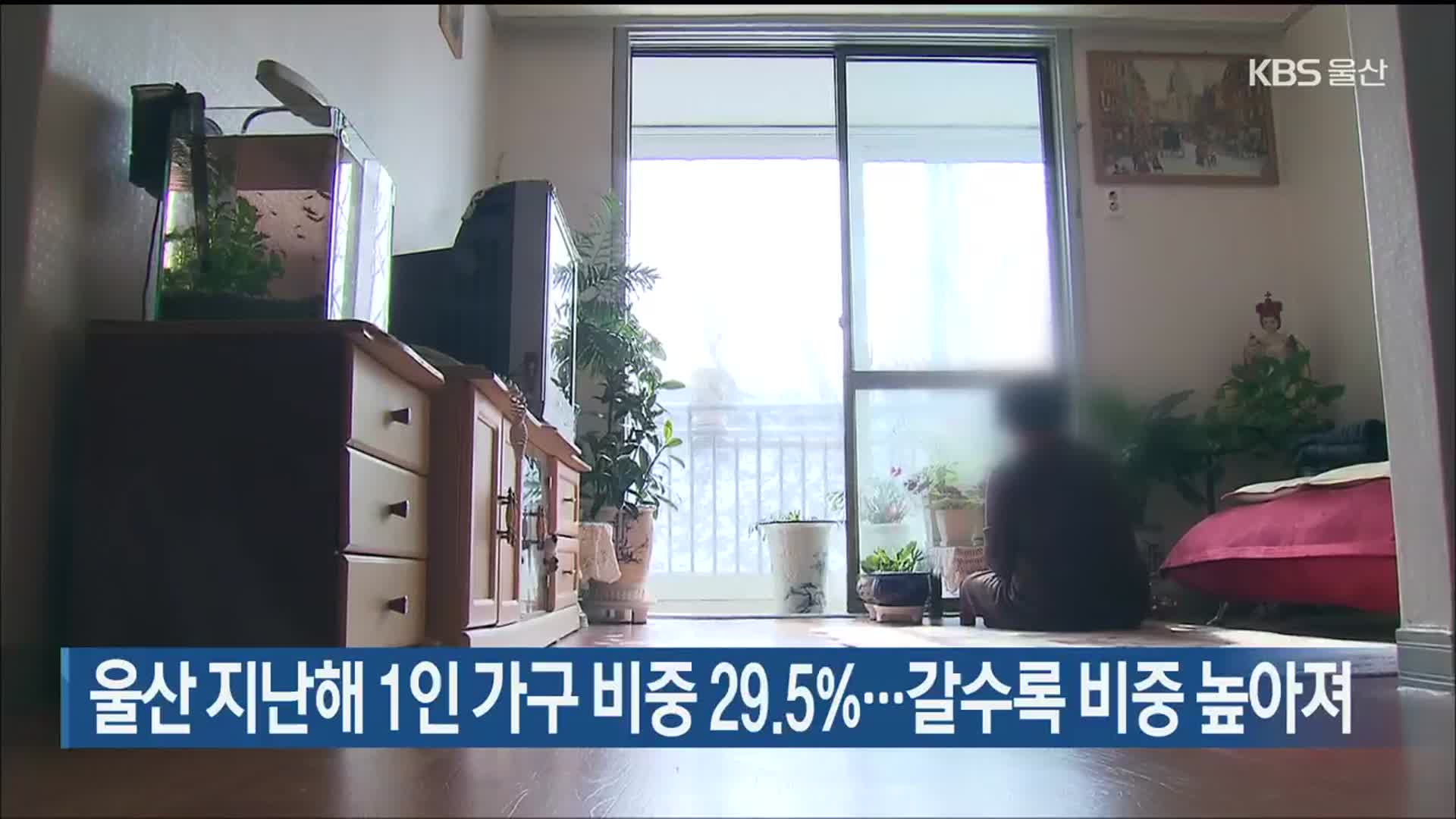 울산 지난해 1인 가구 비중 29.5%…갈수록 비중 높아져