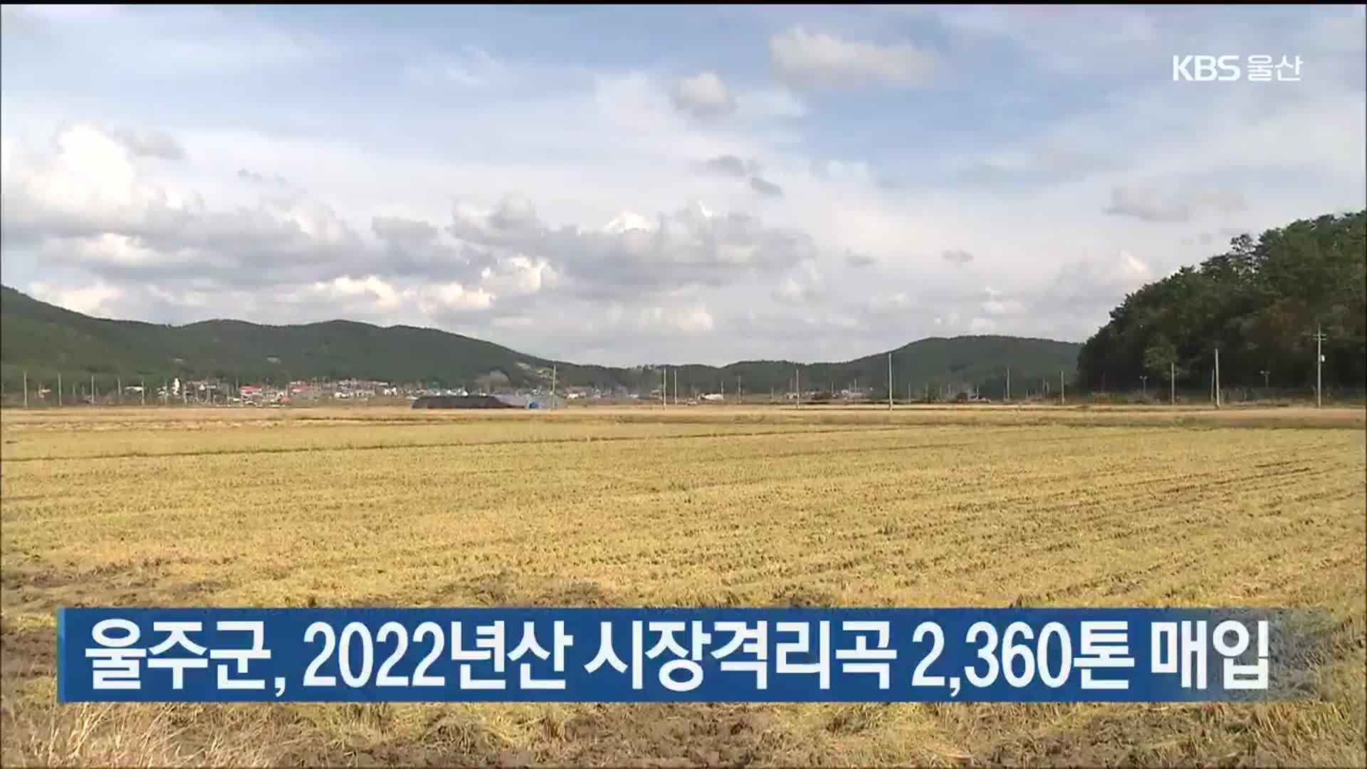 울주군, 2022년산 시장격리곡 2,360톤 매입