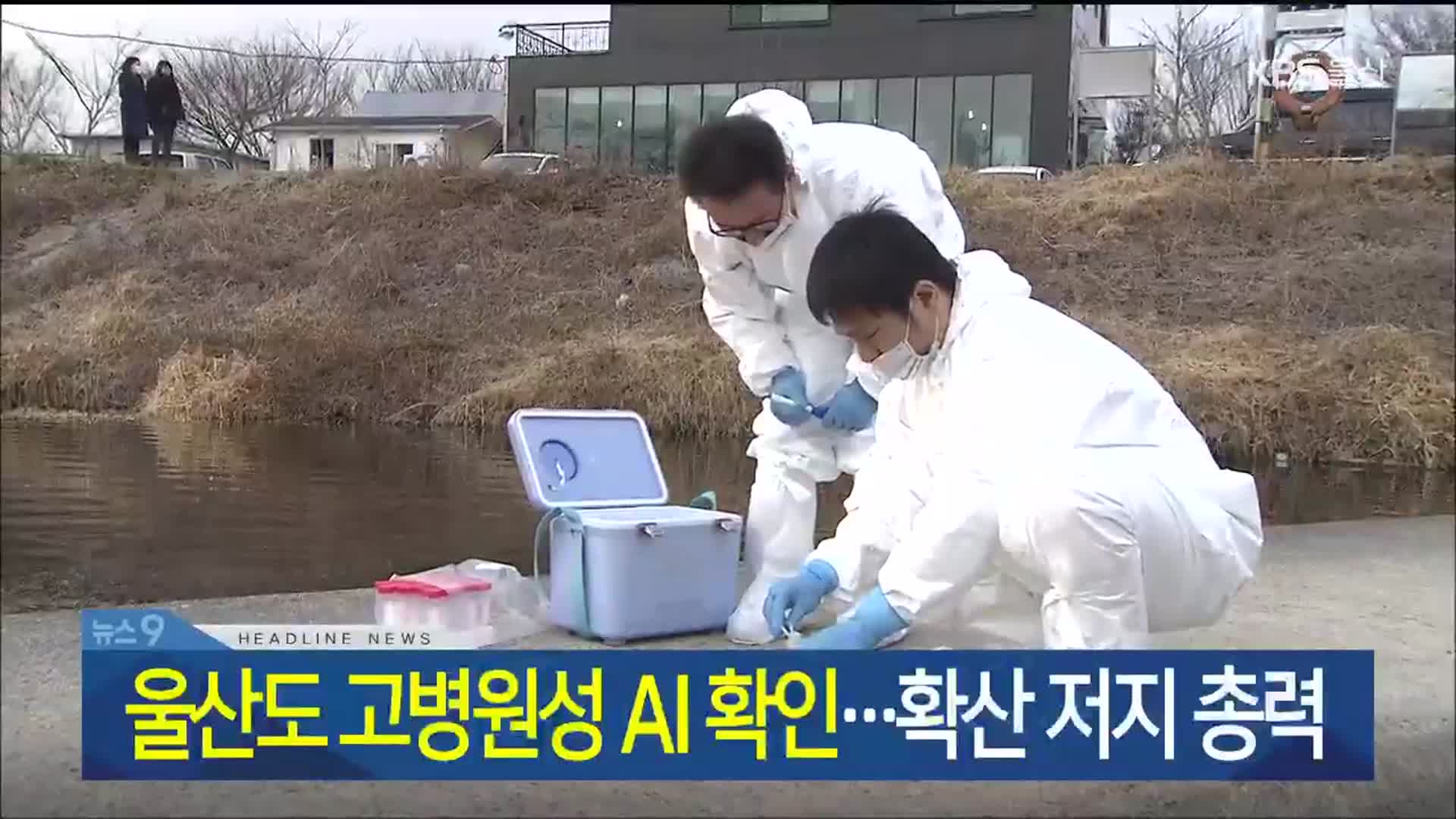 [뉴스9 울산 헤드라인]