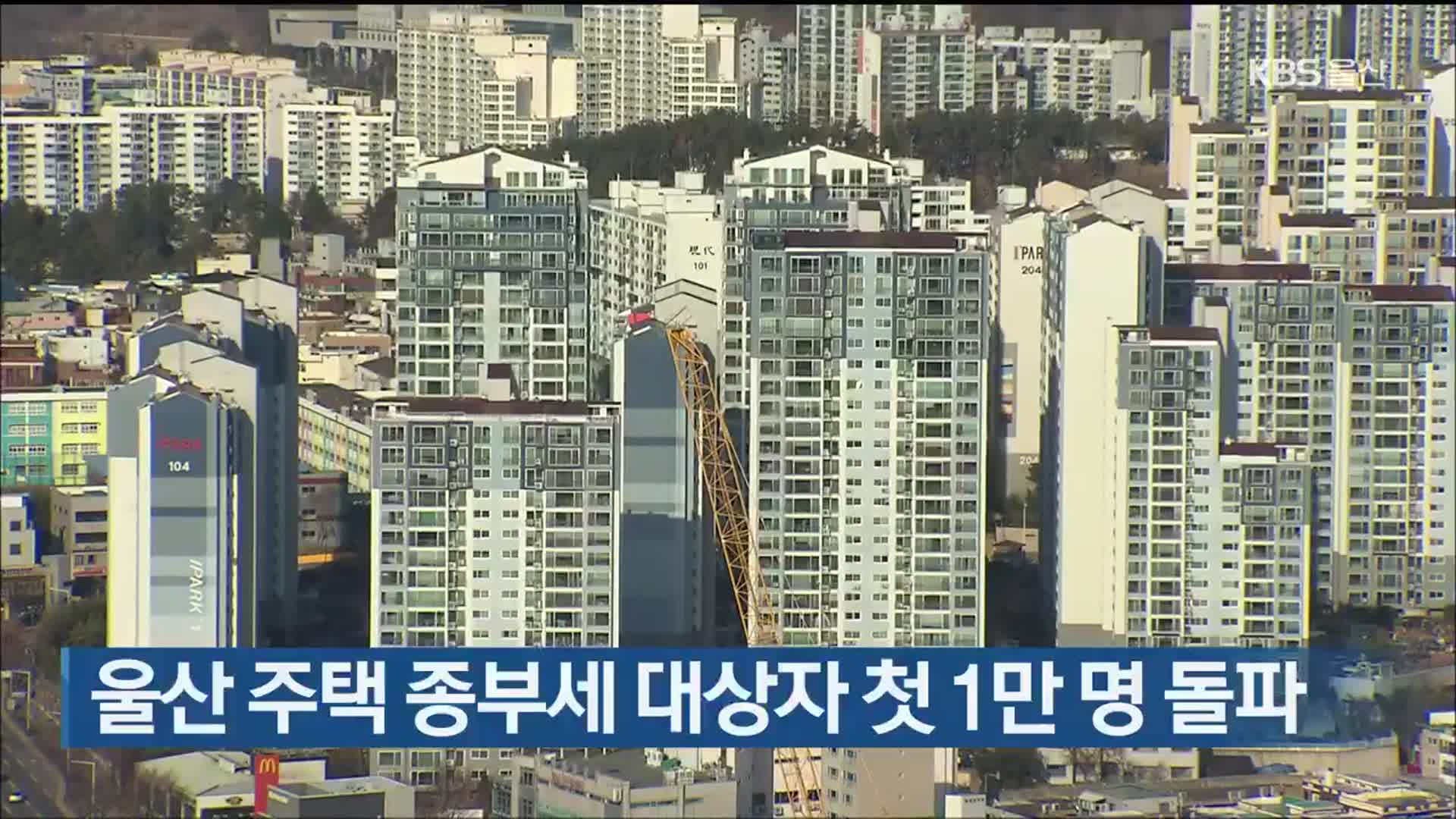 울산 주택 종부세 대상자 첫 1만 명 돌파