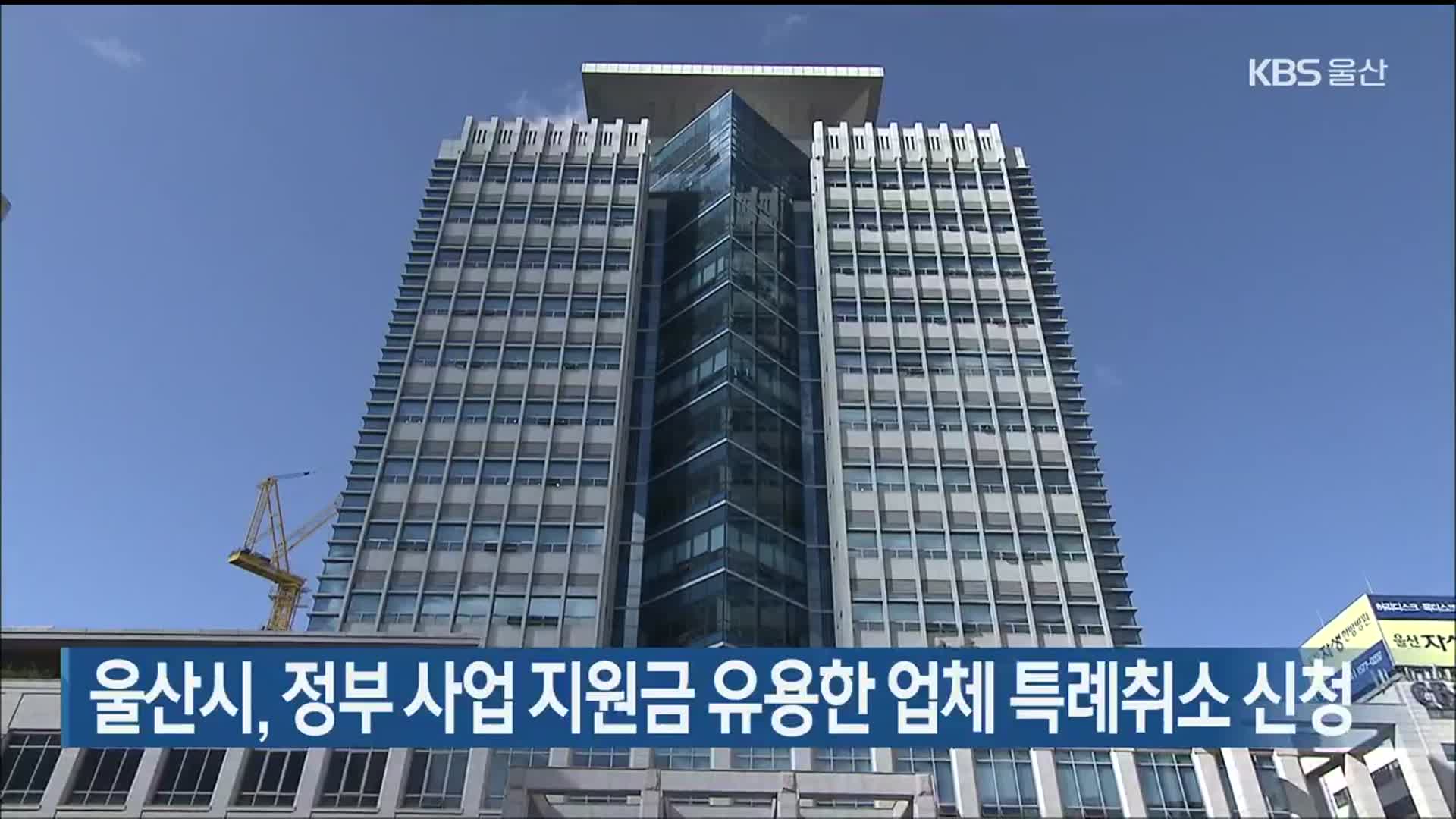 울산시, 정부 사업 지원금 유용한 업체 특례취소 신청