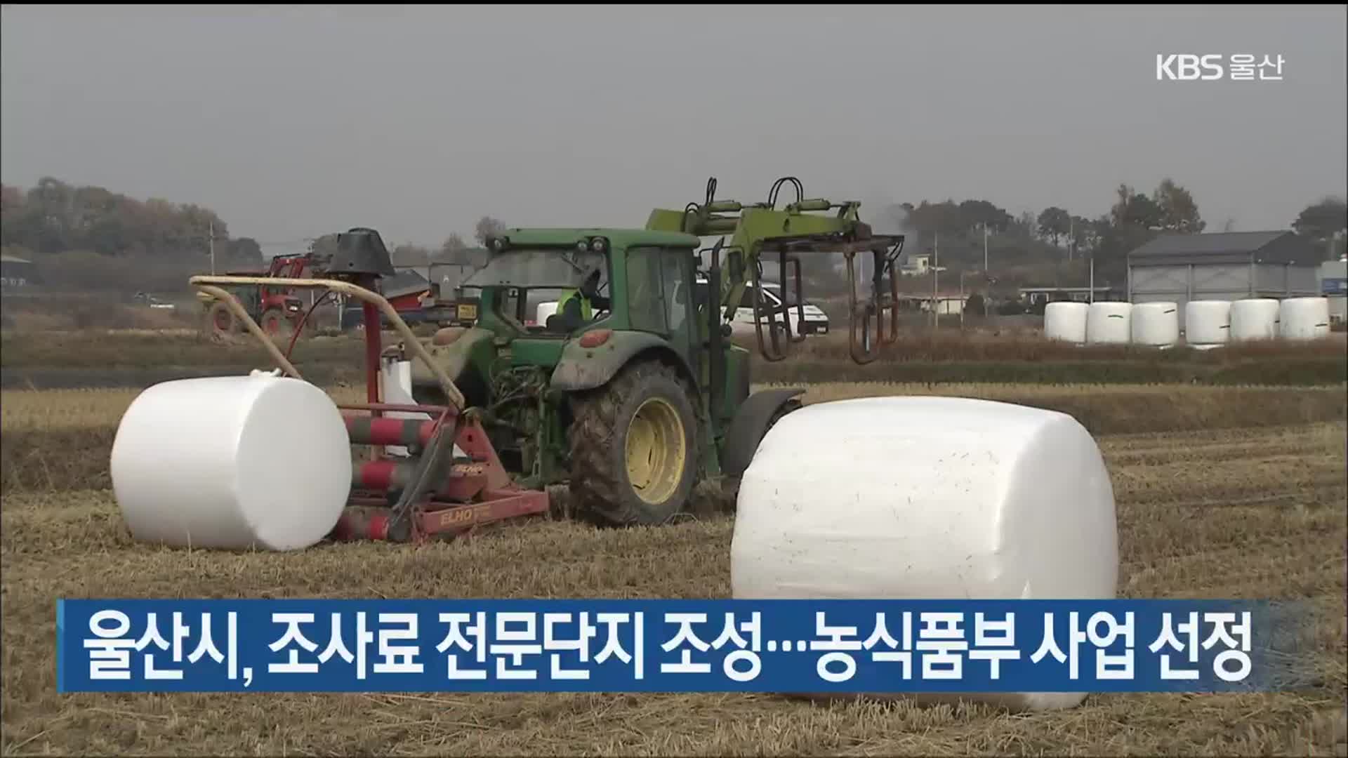 울산시, 조사료 전문단지 조성…농식품부 사업 선정