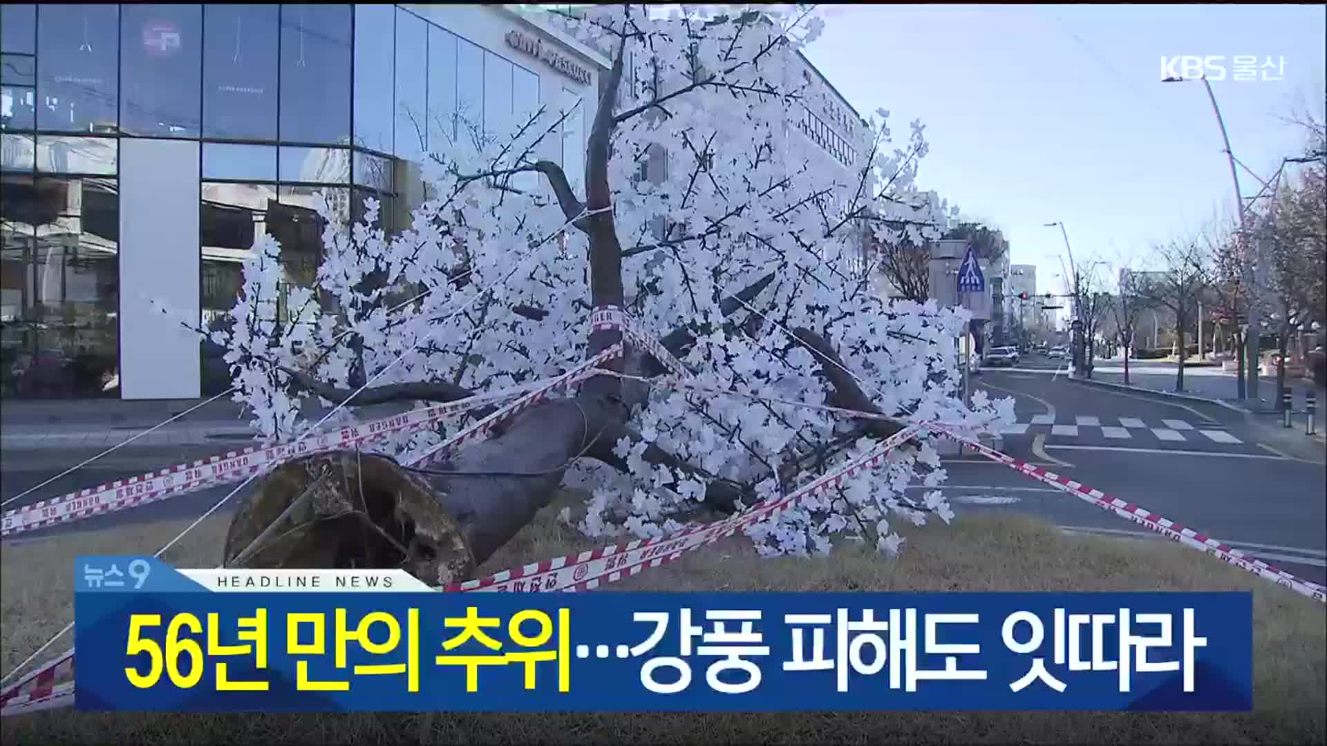 [뉴스9 울산 헤드라인]