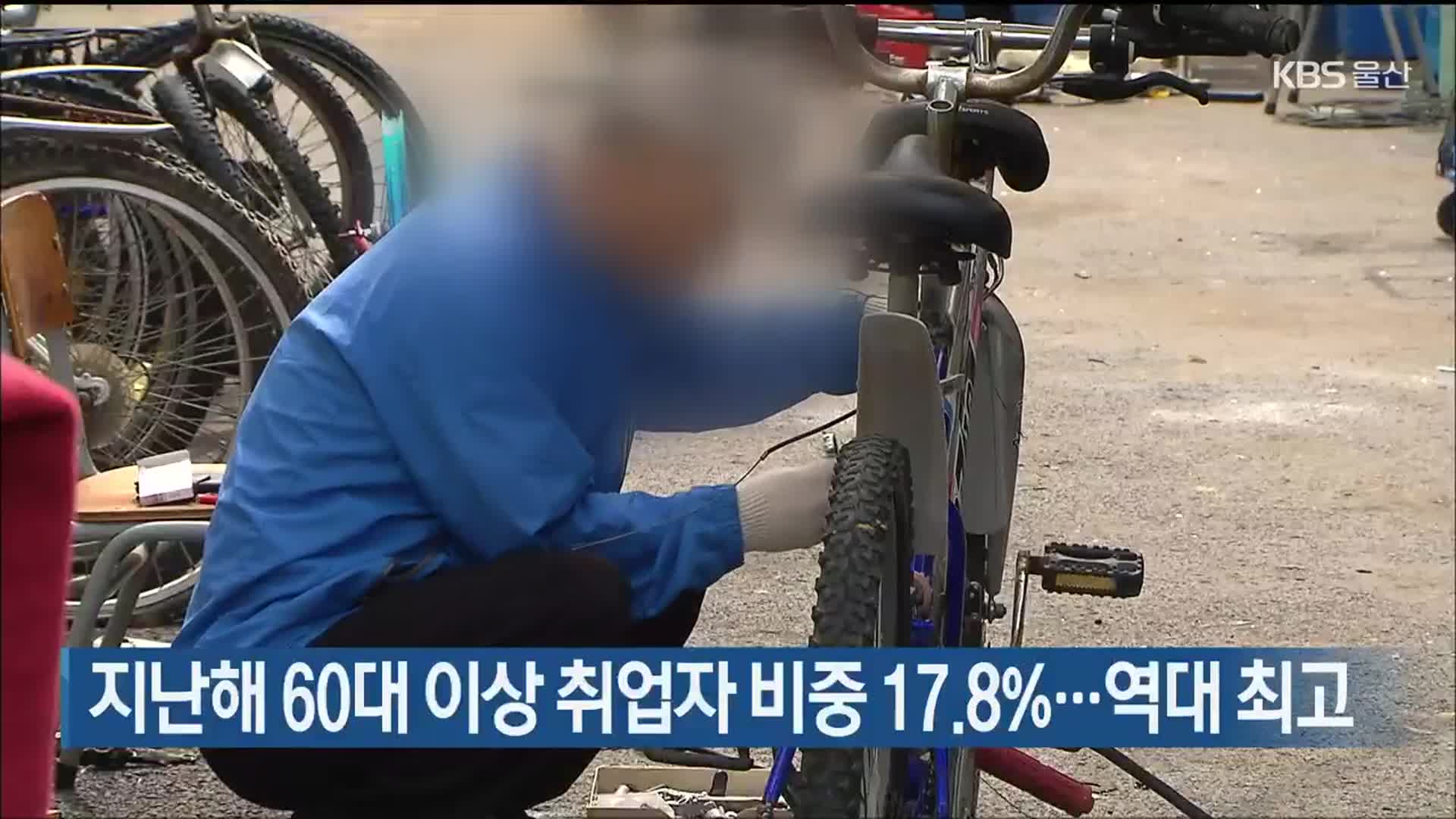 지난해 울산 60대 이상 취업자 비중 17.8%…역대 최고