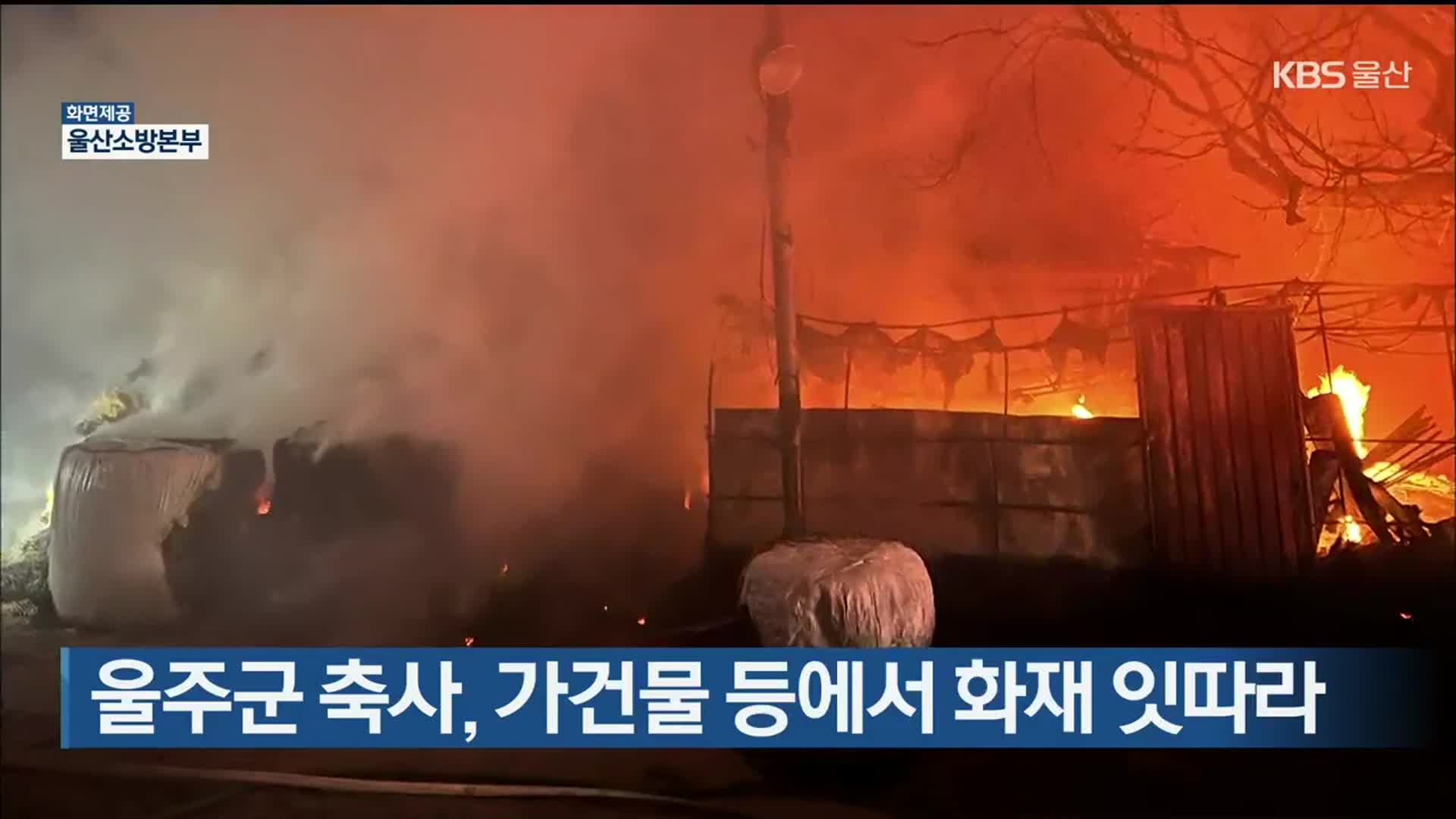 울주군 축사, 가건물 등에서 화재 잇따라