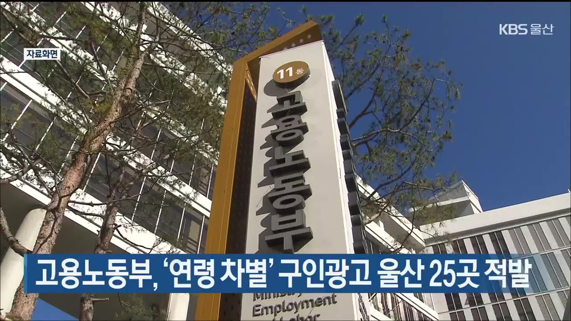 고용노동부, ‘연령 차별’ 구인광고 울산 25곳 적발