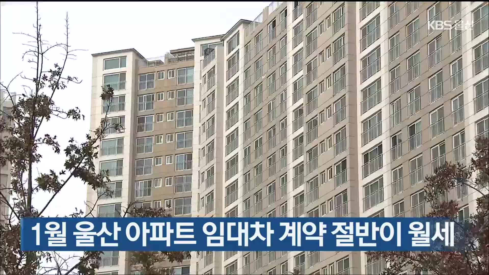 1월 울산 아파트 임대차 계약 절반이 월세