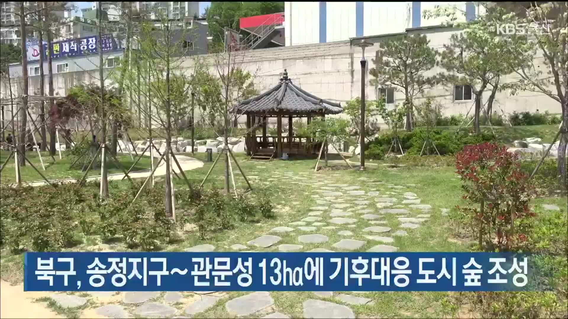 울산 북구, 송정지구∼관문성 13㏊에 기후대응 도시 숲 조성
