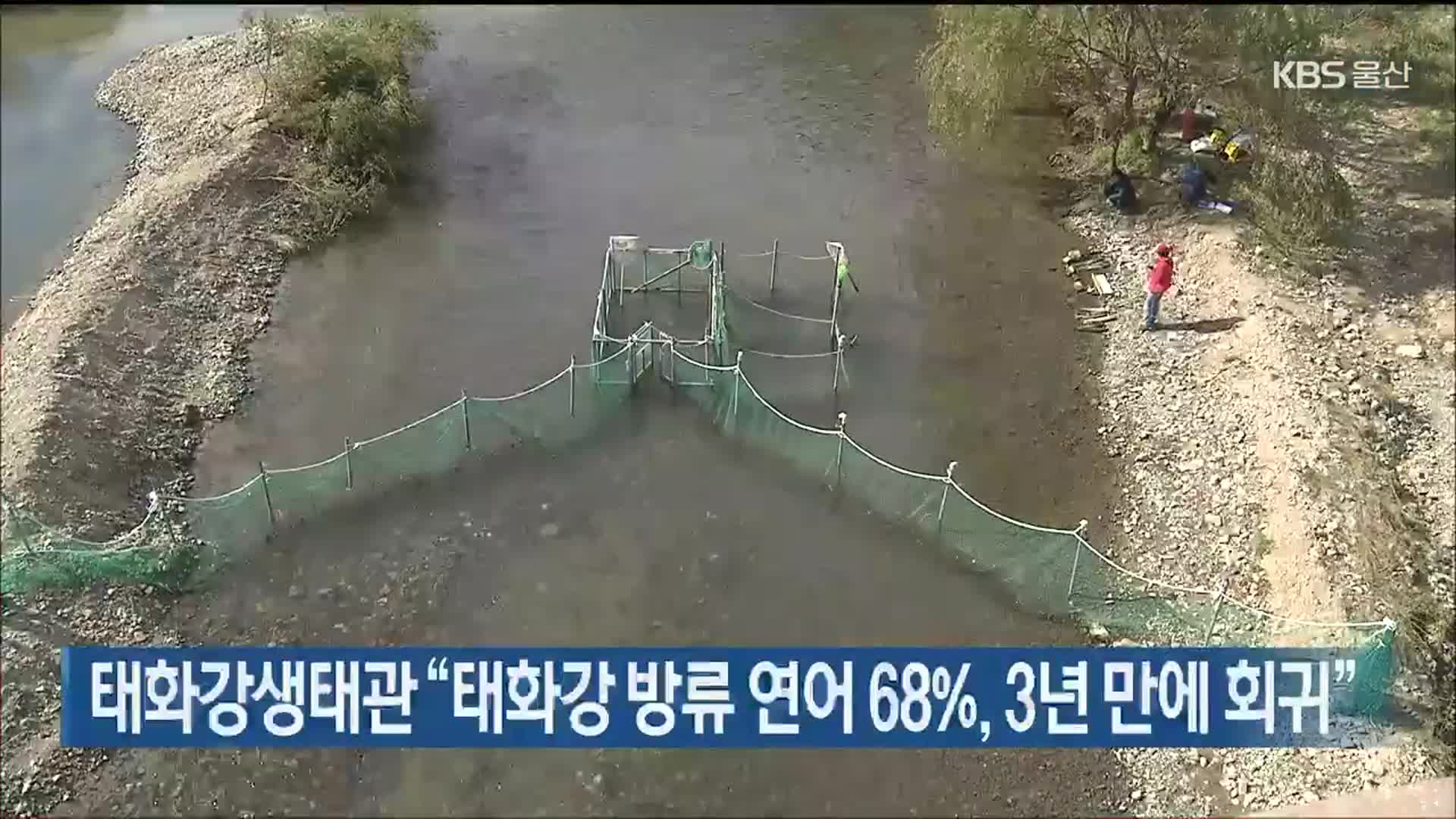 태화강생태관 “태화강 방류 연어 68%, 3년 만에 회귀”