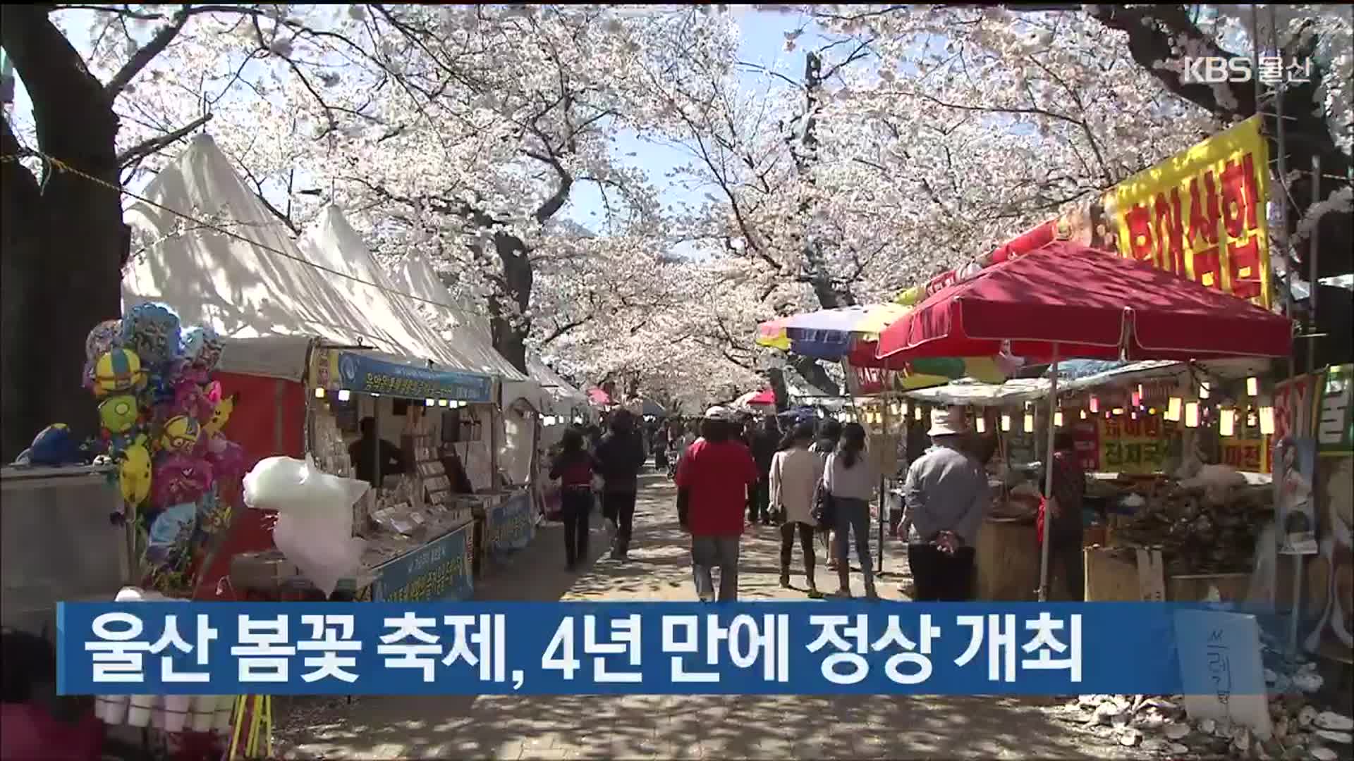 울산 봄꽃 축제, 4년 만에 정상 개최