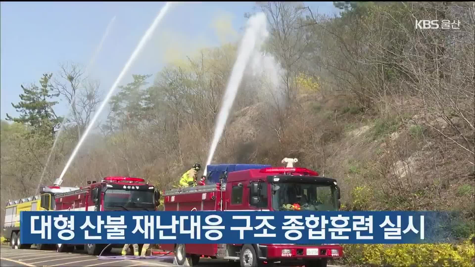 대형 산불 재난대응 구조 종합훈련 실시