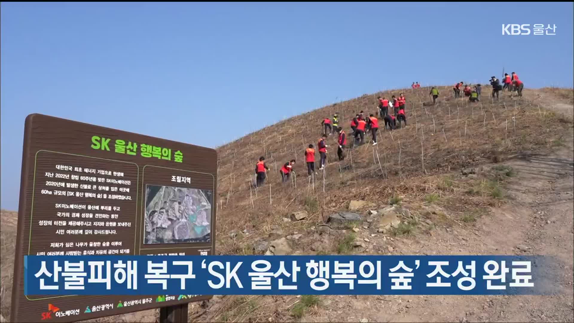 산불피해 복구 ‘SK 울산 행복의 숲’ 조성 완료