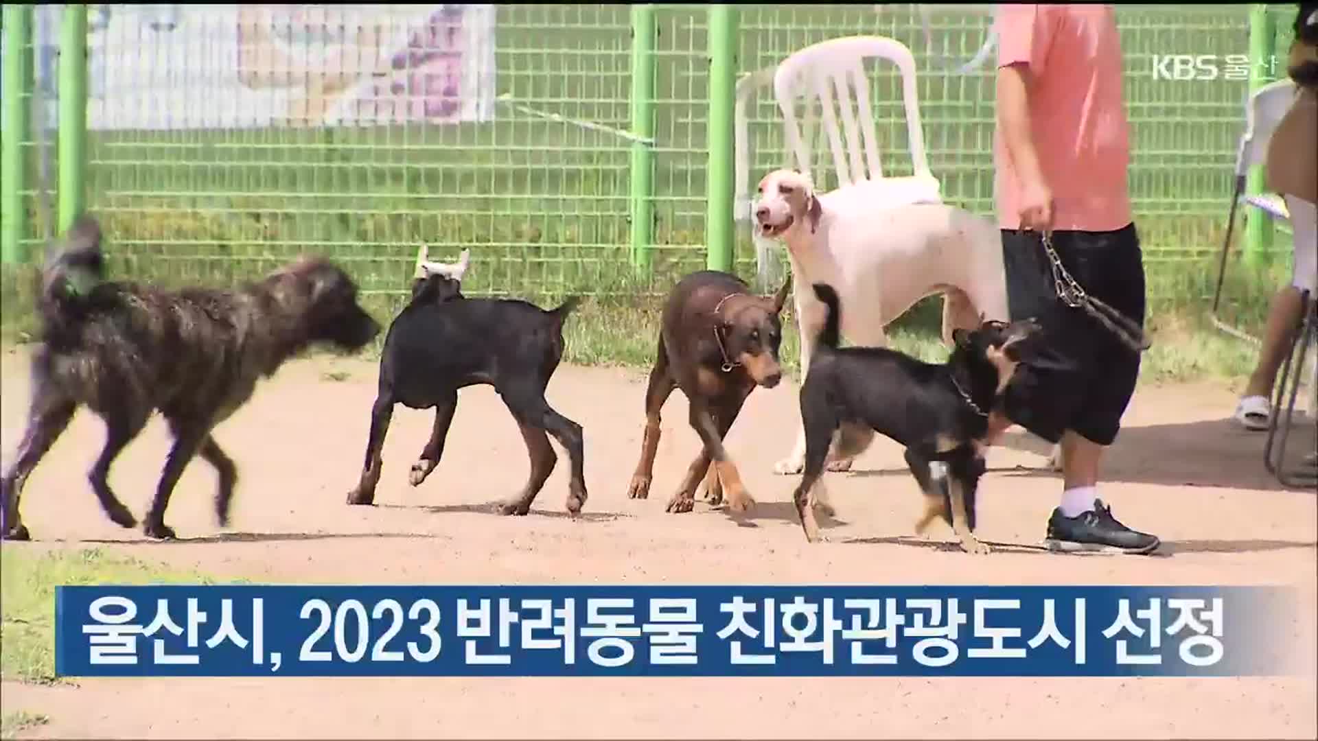 울산시, 2023 반려동물 친화관광도시 선정