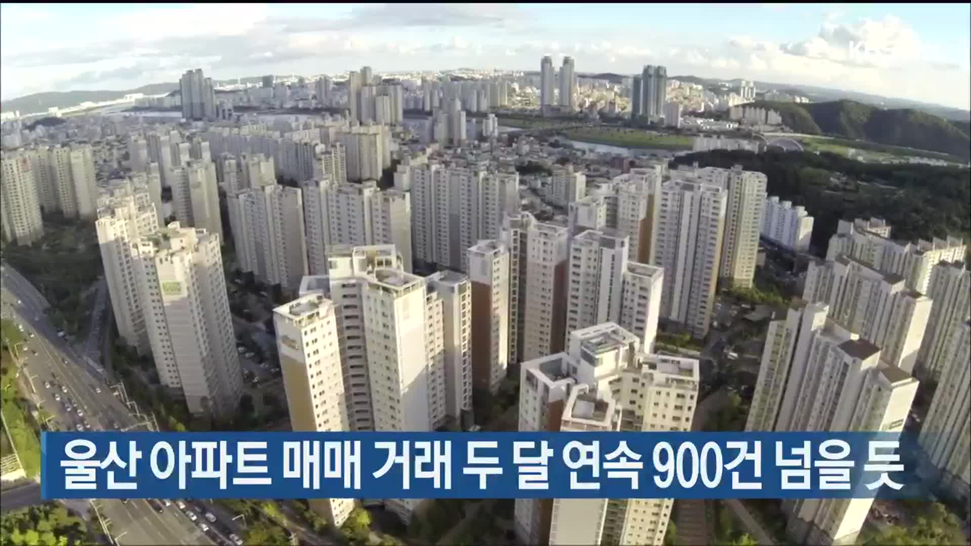 울산 아파트 매매 거래 두 달 연속 900건 넘을 듯