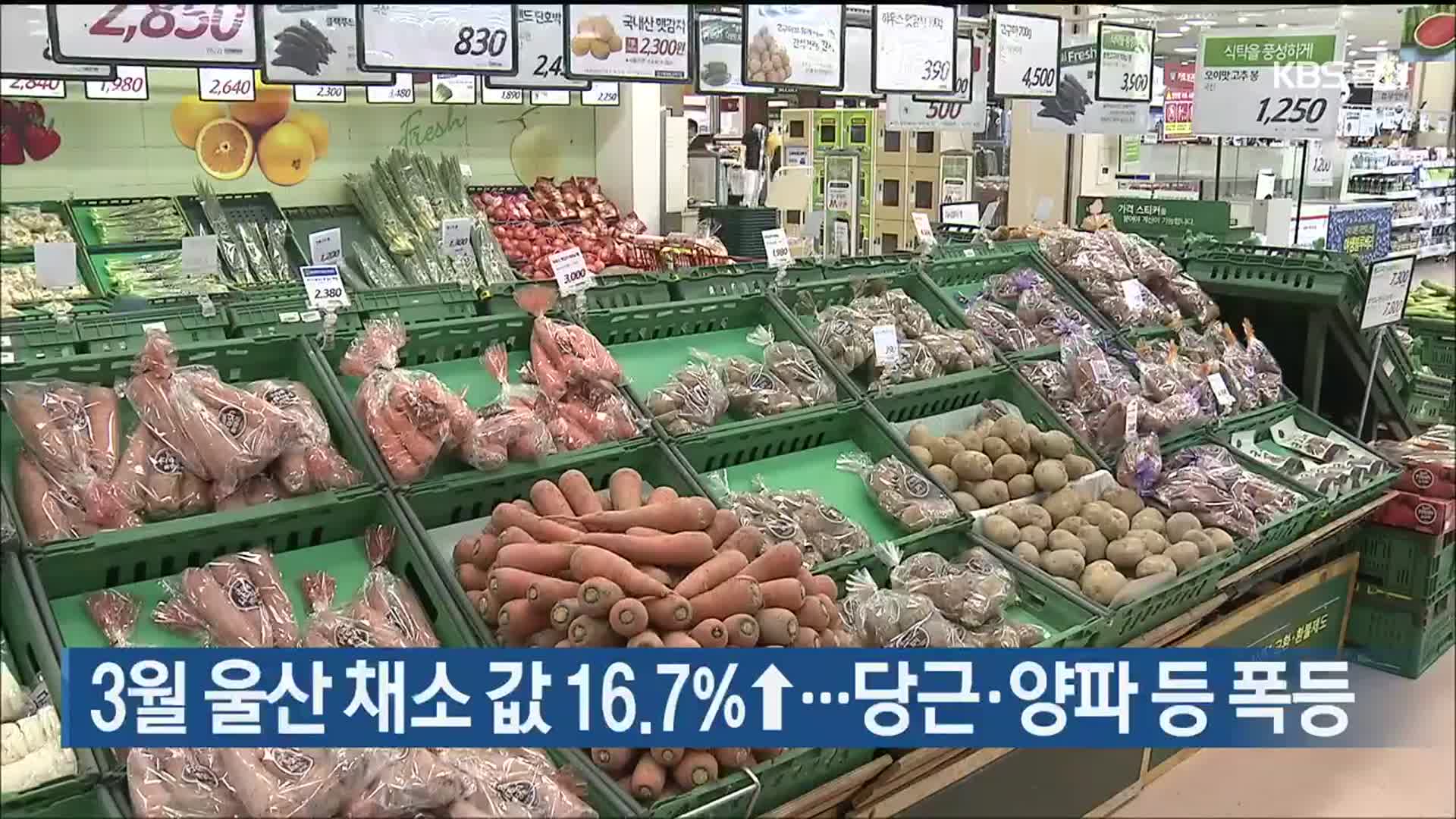 3월 울산 채소값 16.7%↑…당근·양파 등 폭등