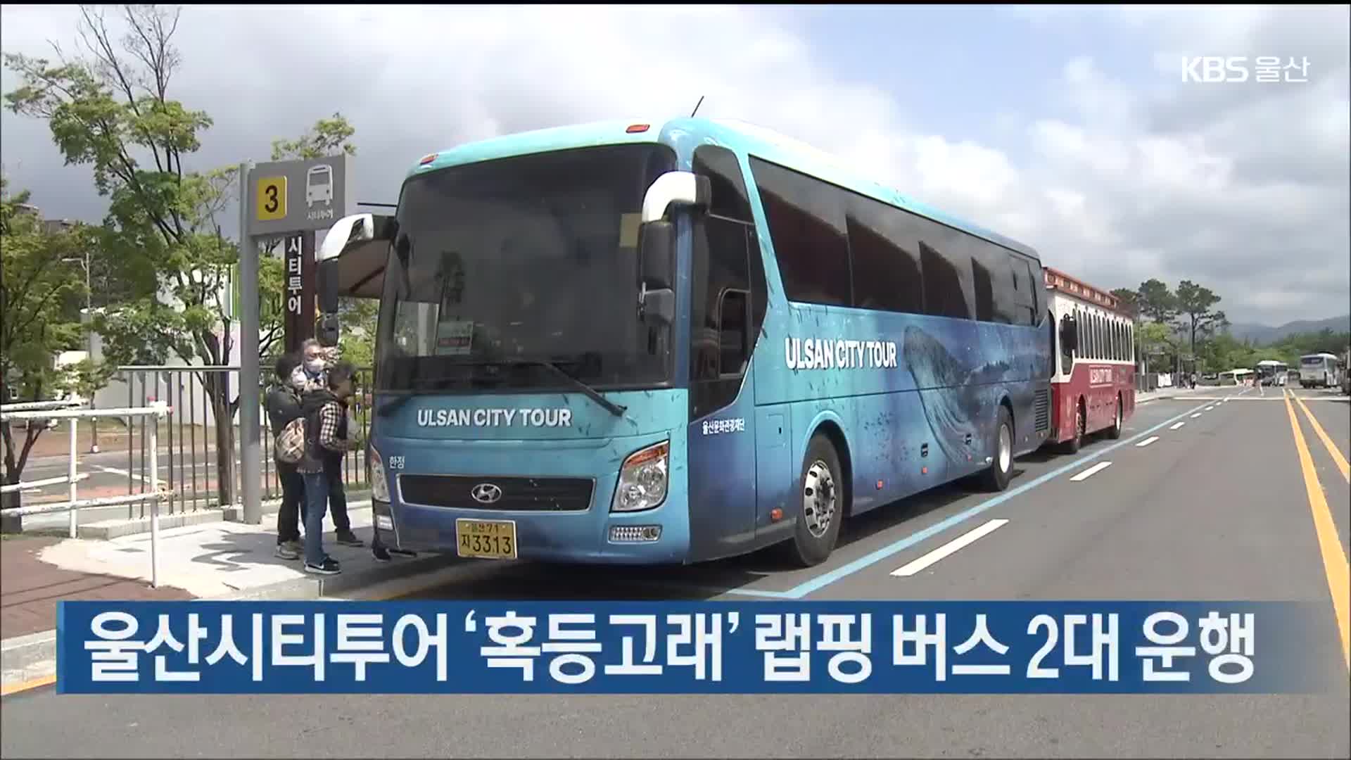 울산시티투어 ‘혹등고래’ 랩핑 버스 2대 운행
